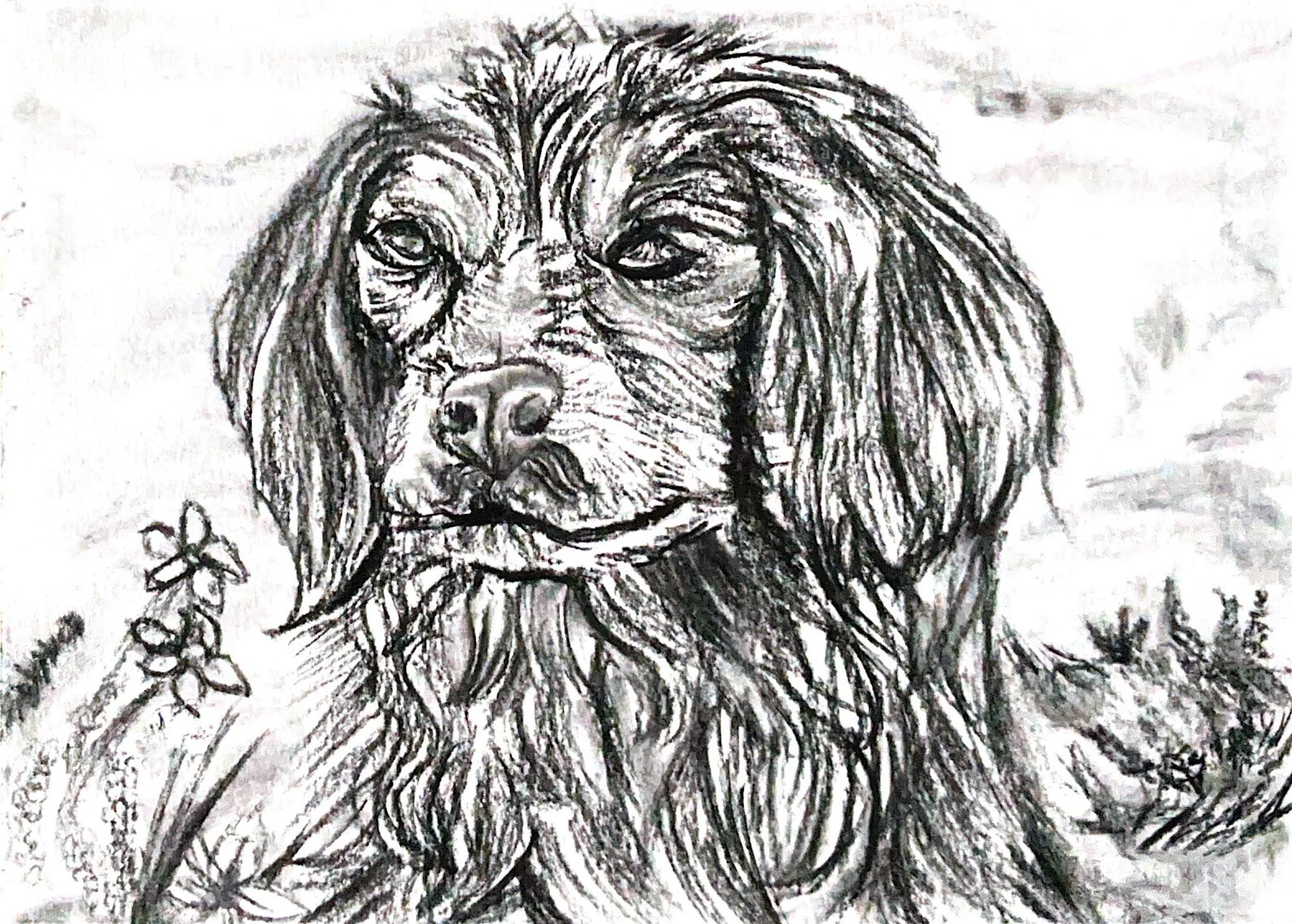 postcard show by Frankie.jpg