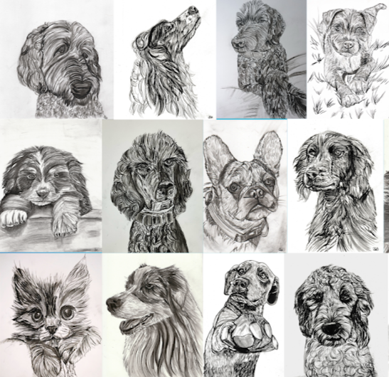Collection of pencil sketches of various dogs and a cat, showcasing different breeds and expressions.