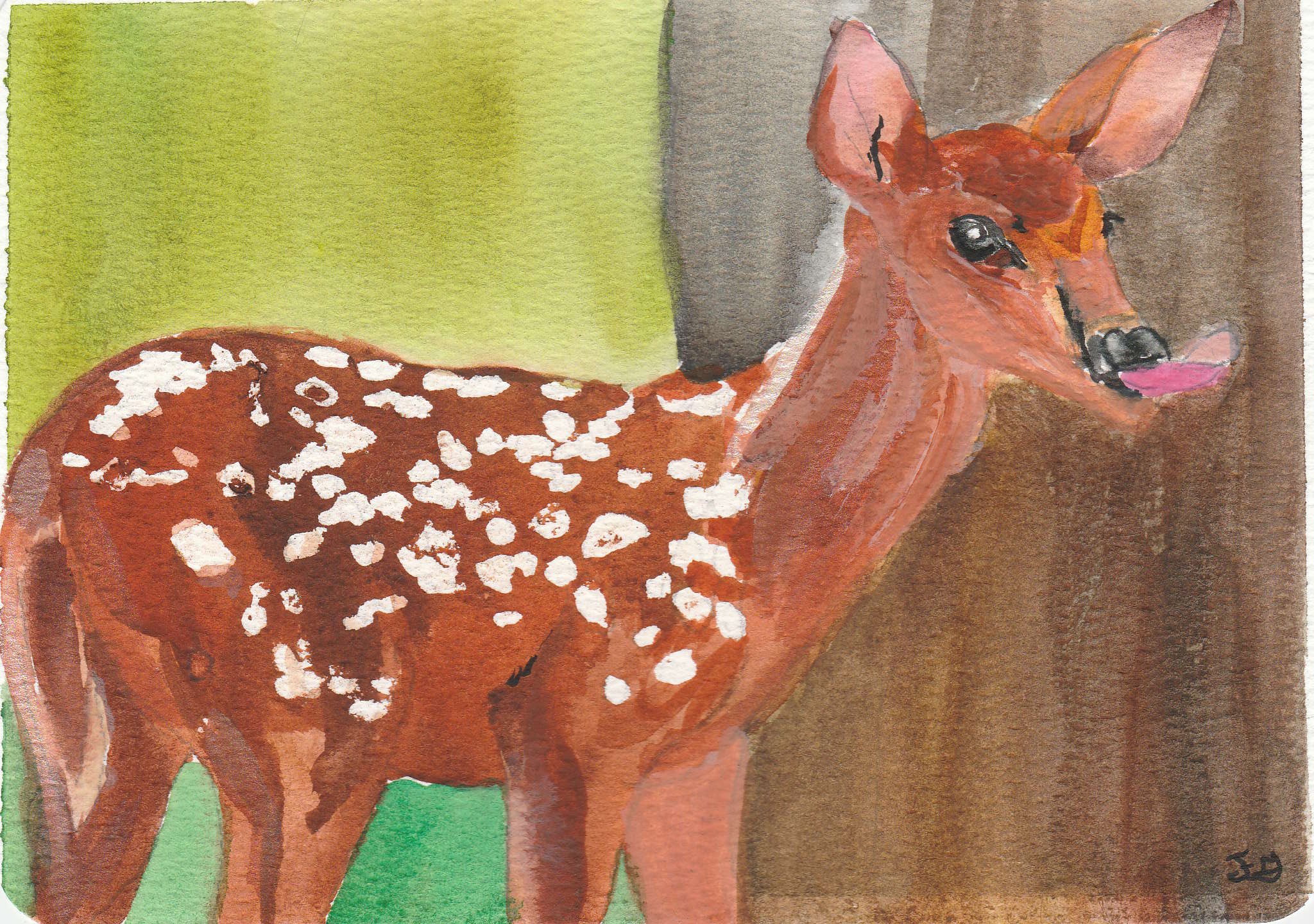 Whitetail_Watercolor_1.jpg