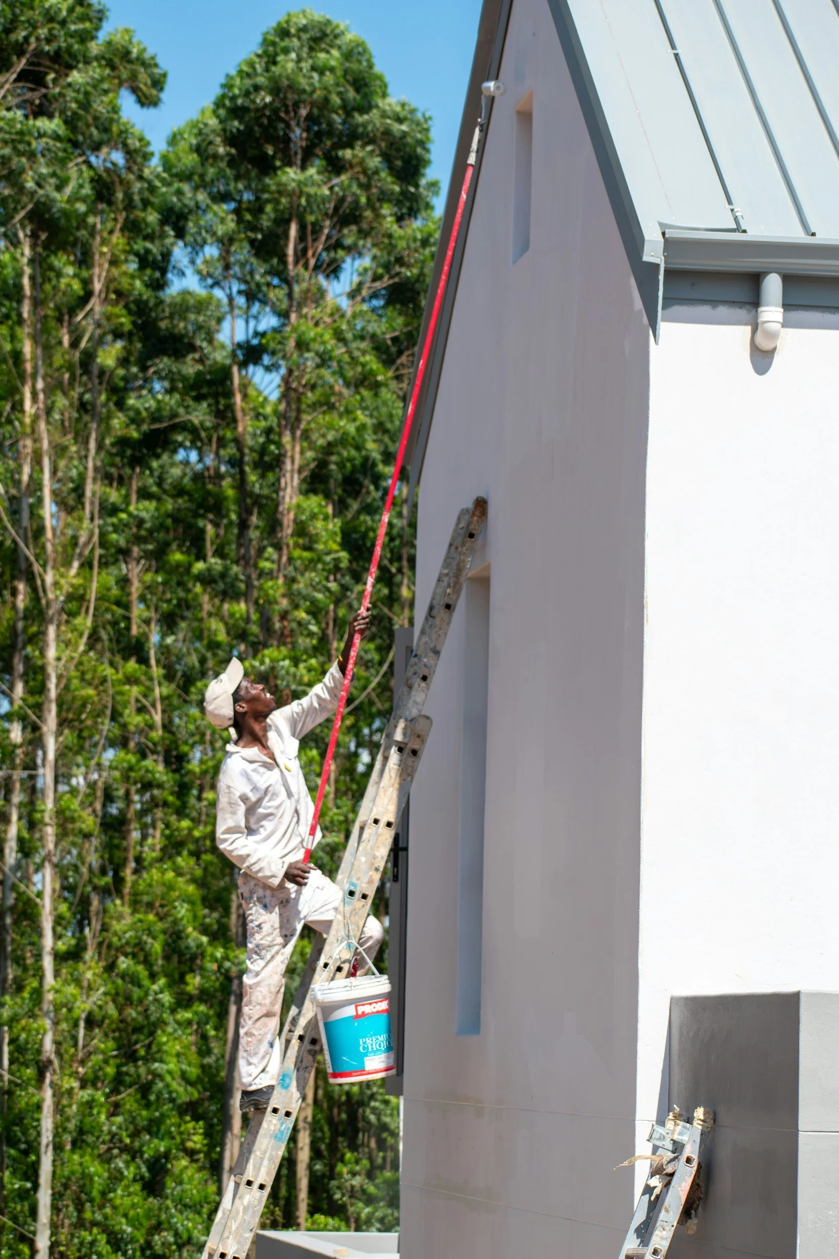 A person on a ladder painting the exterior wall of a building with white paint, with trees and blue sky in the background.
