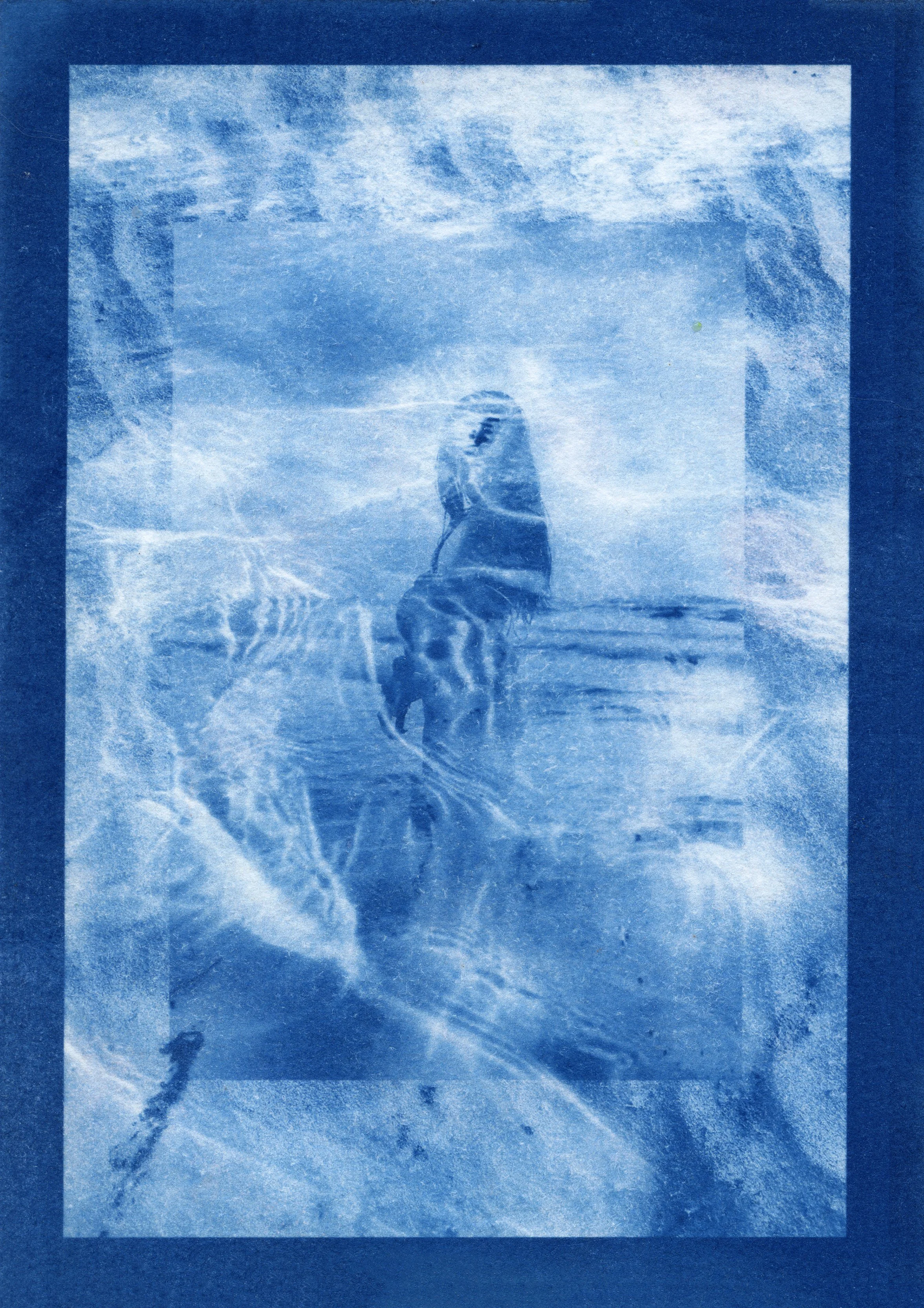 cyanotype final0007.jpg