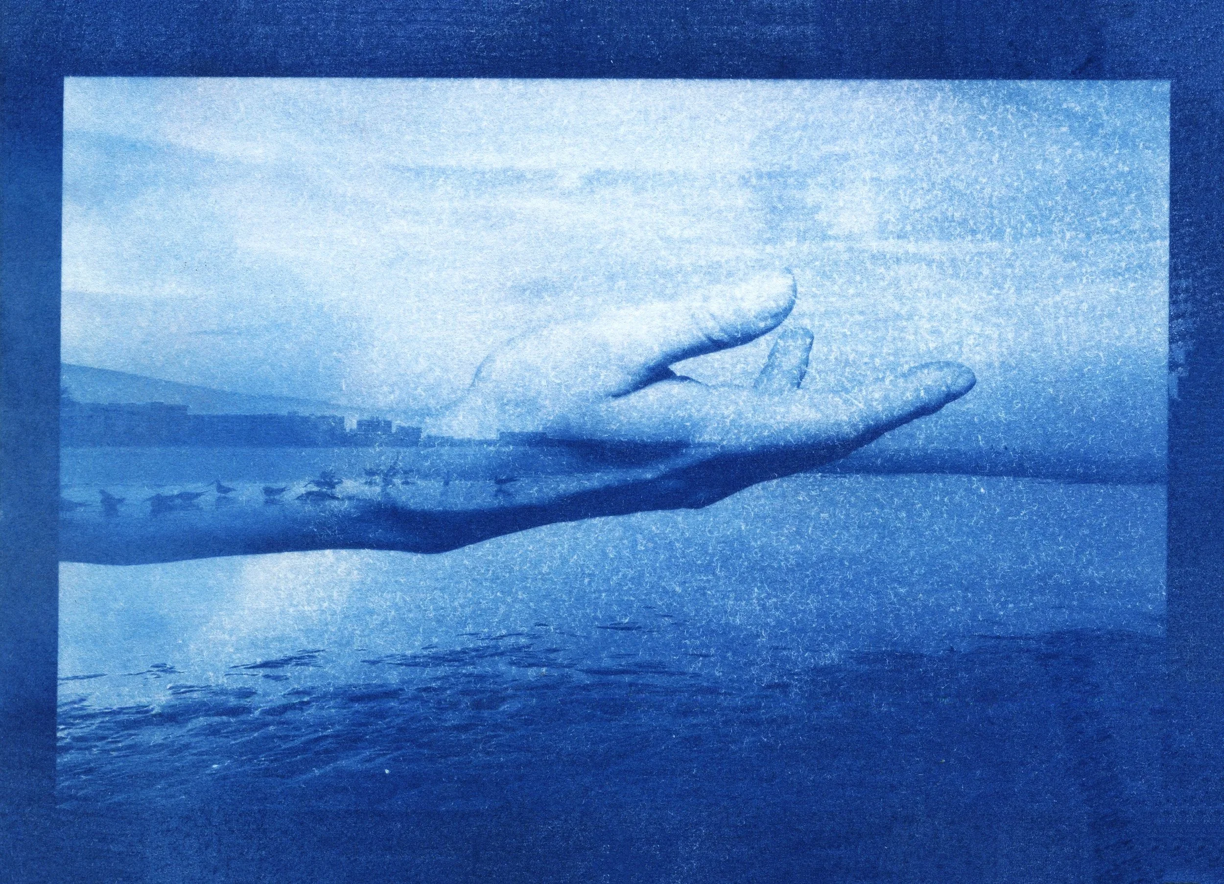 cyanotype+final0010.jpg