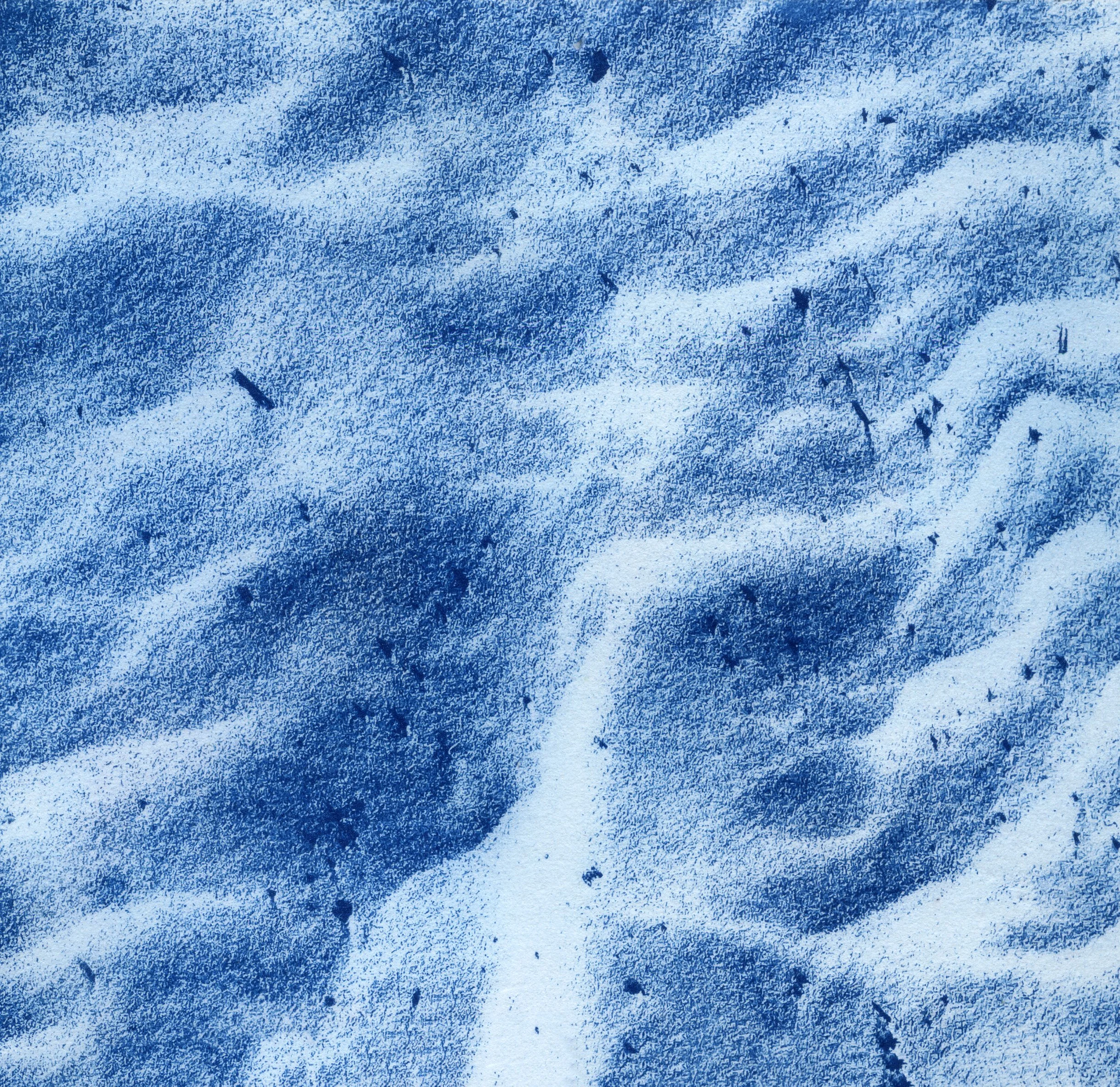 cyanotype final0012.jpg