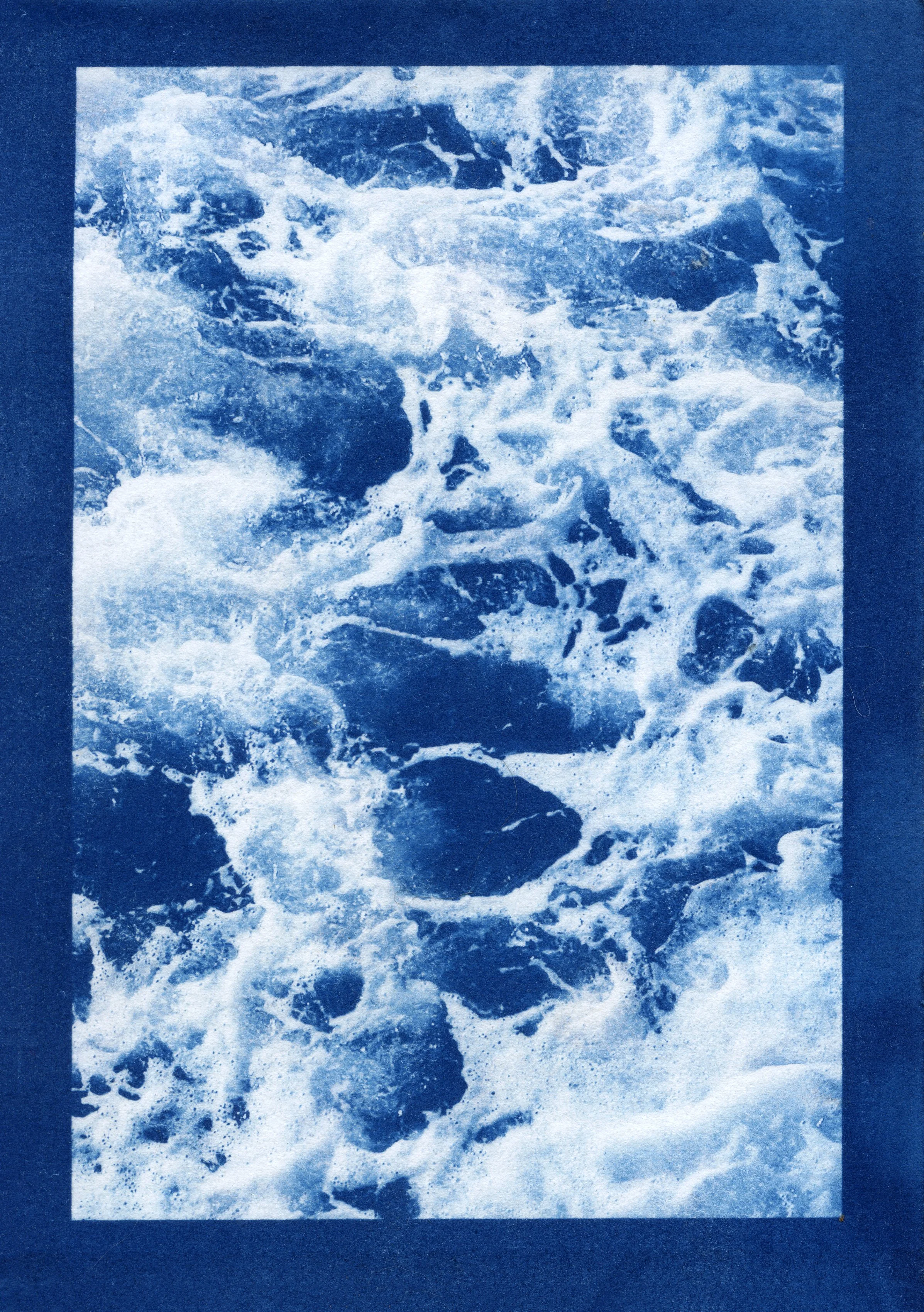 cyanotype final0006.jpg