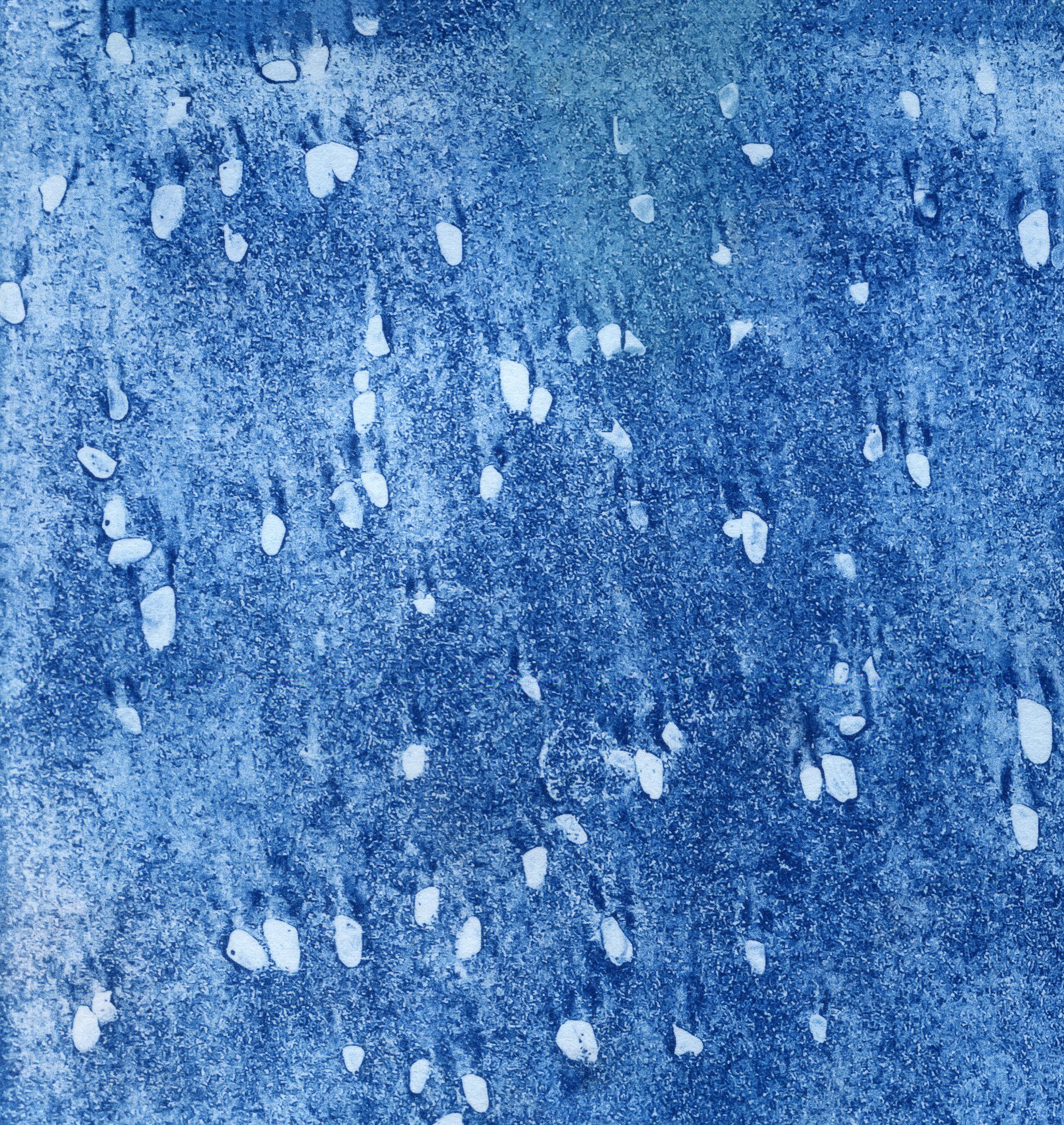 cyanotype final0011.jpg