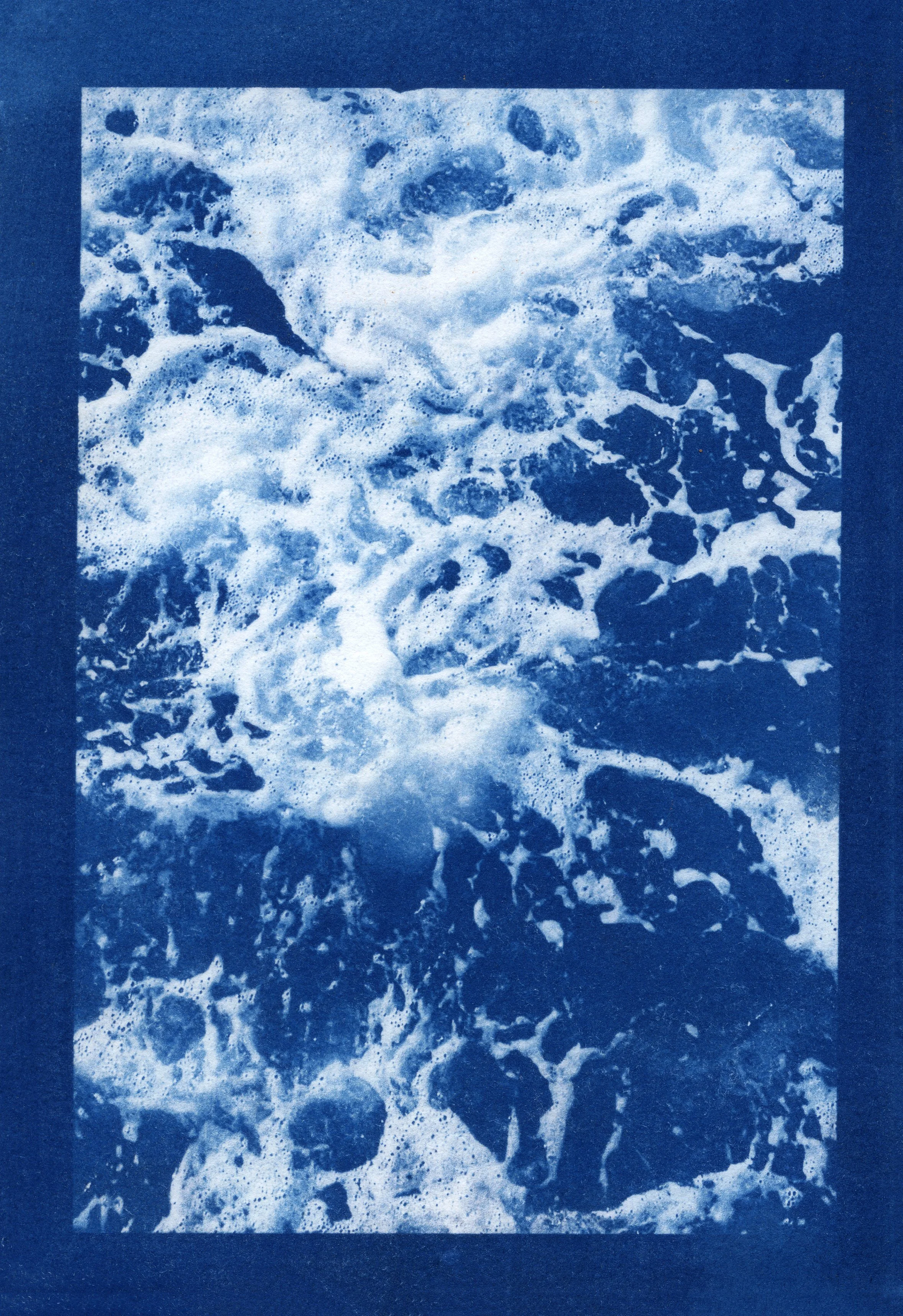 cyanotype final0016.jpg