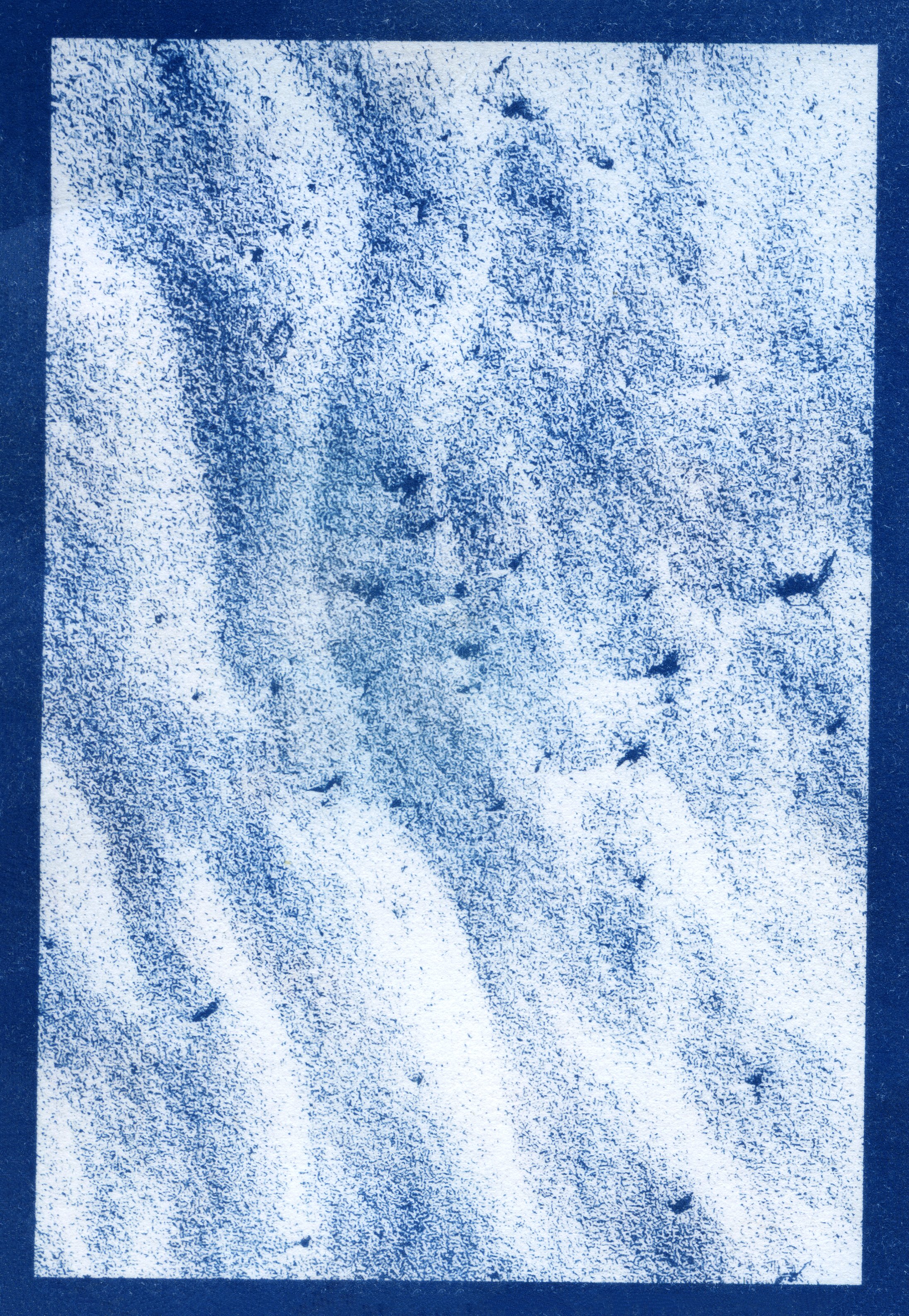 cyanotype final0009.jpg