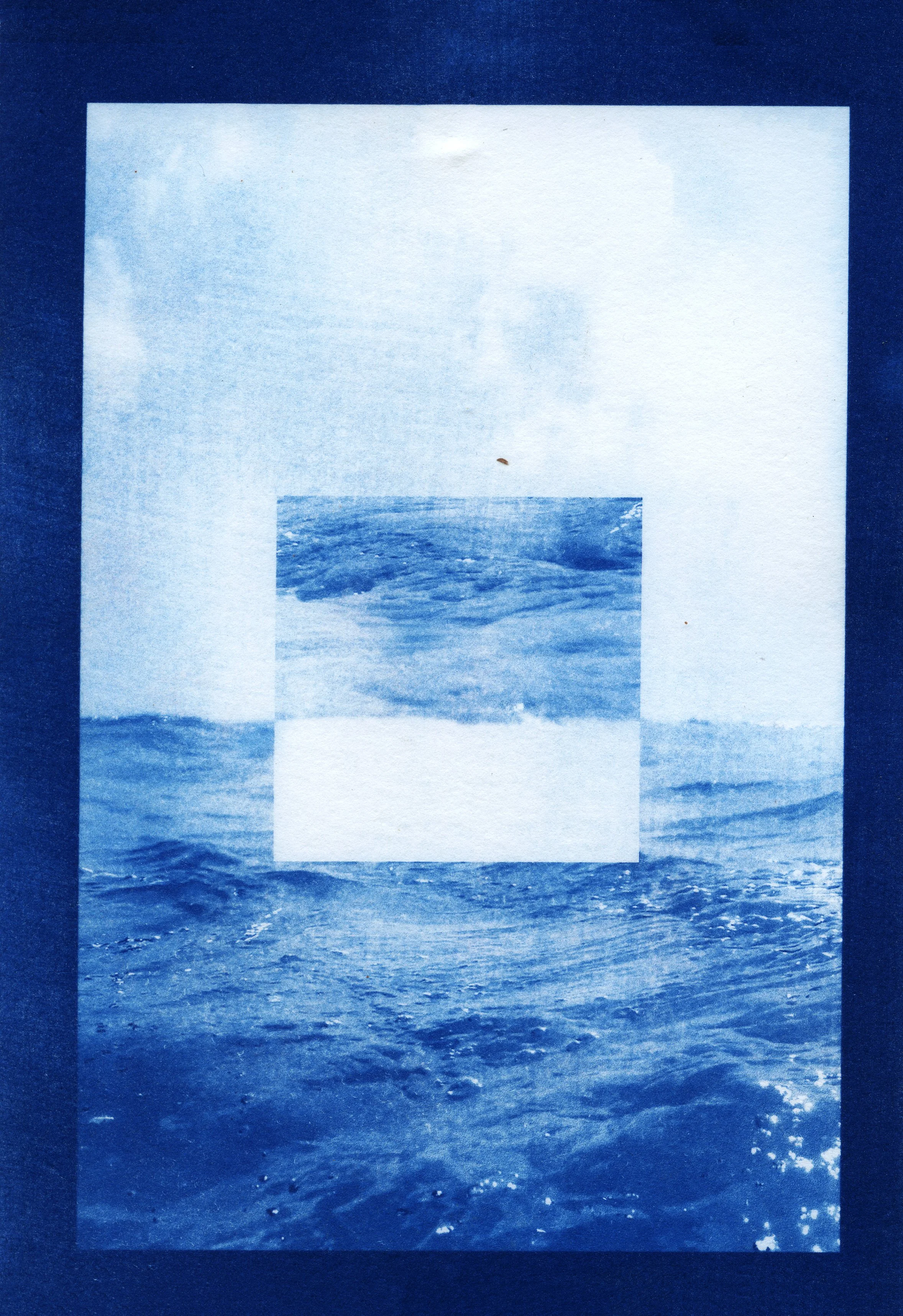 cyanotype final0014.jpg