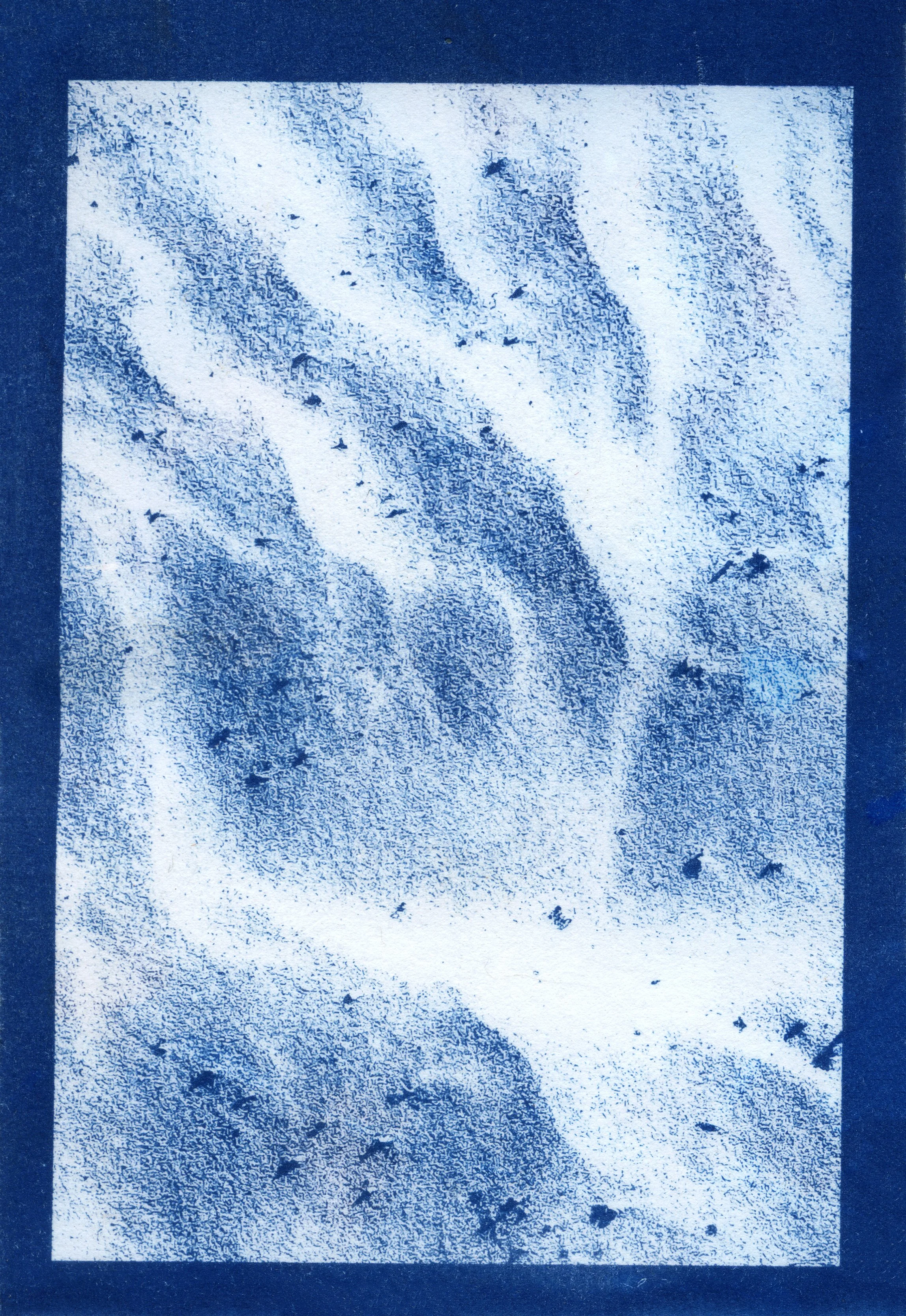 cyanotype final0019.jpg