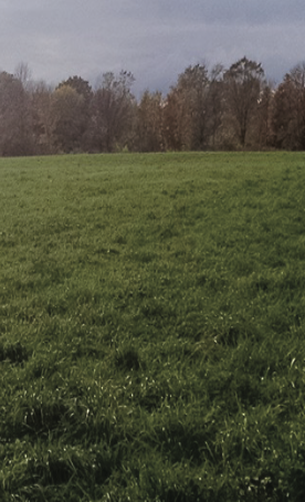 Enduro Plus Premium Pasture mix