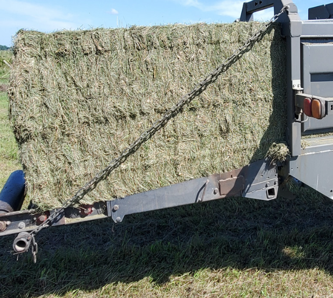 Enduro Plus Dry Hay Grass Mix