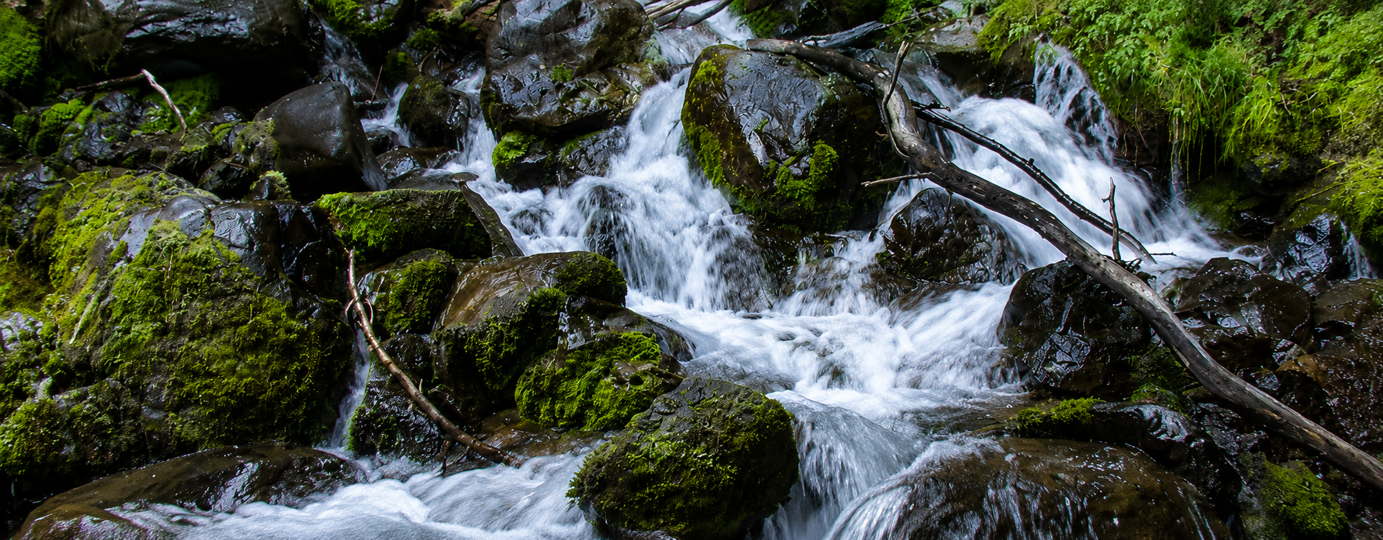 A small waterfall flowing over moss-covered rocks in a forest stream.