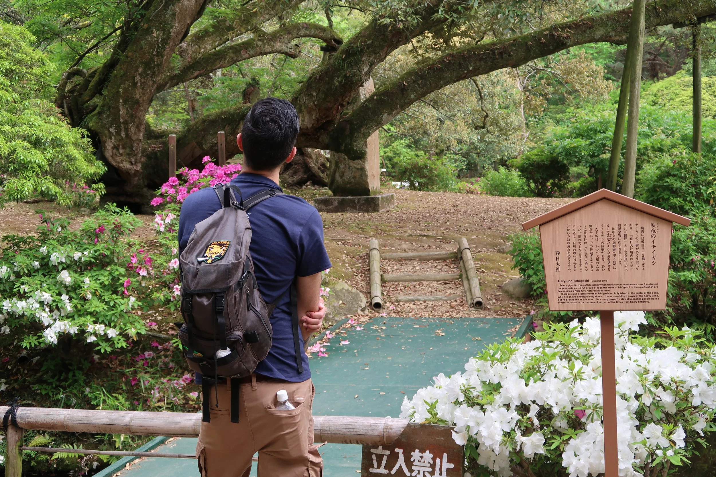 Kyoto, Japan