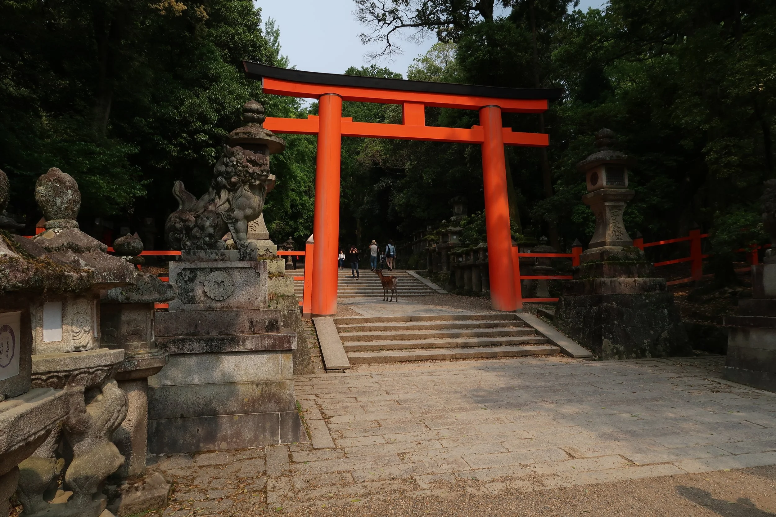 A bright orange traditional Japanese torii gate stands at the entrance of a pathway through a lush, green forest. Stone lanterns and sculptures flanking the path, with a few visitors and a dog walking further into the woods.