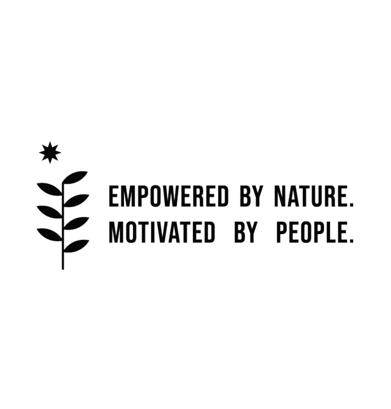 Vado Apparel Logo
