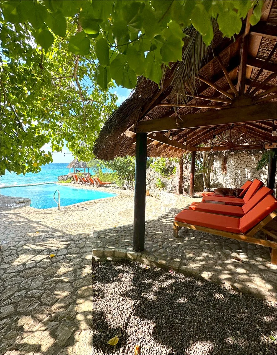 Poolside area with orange lounge chairs under a thatched roof, surrounded by lush palm and green trees, overlooking the ocean in the background.
