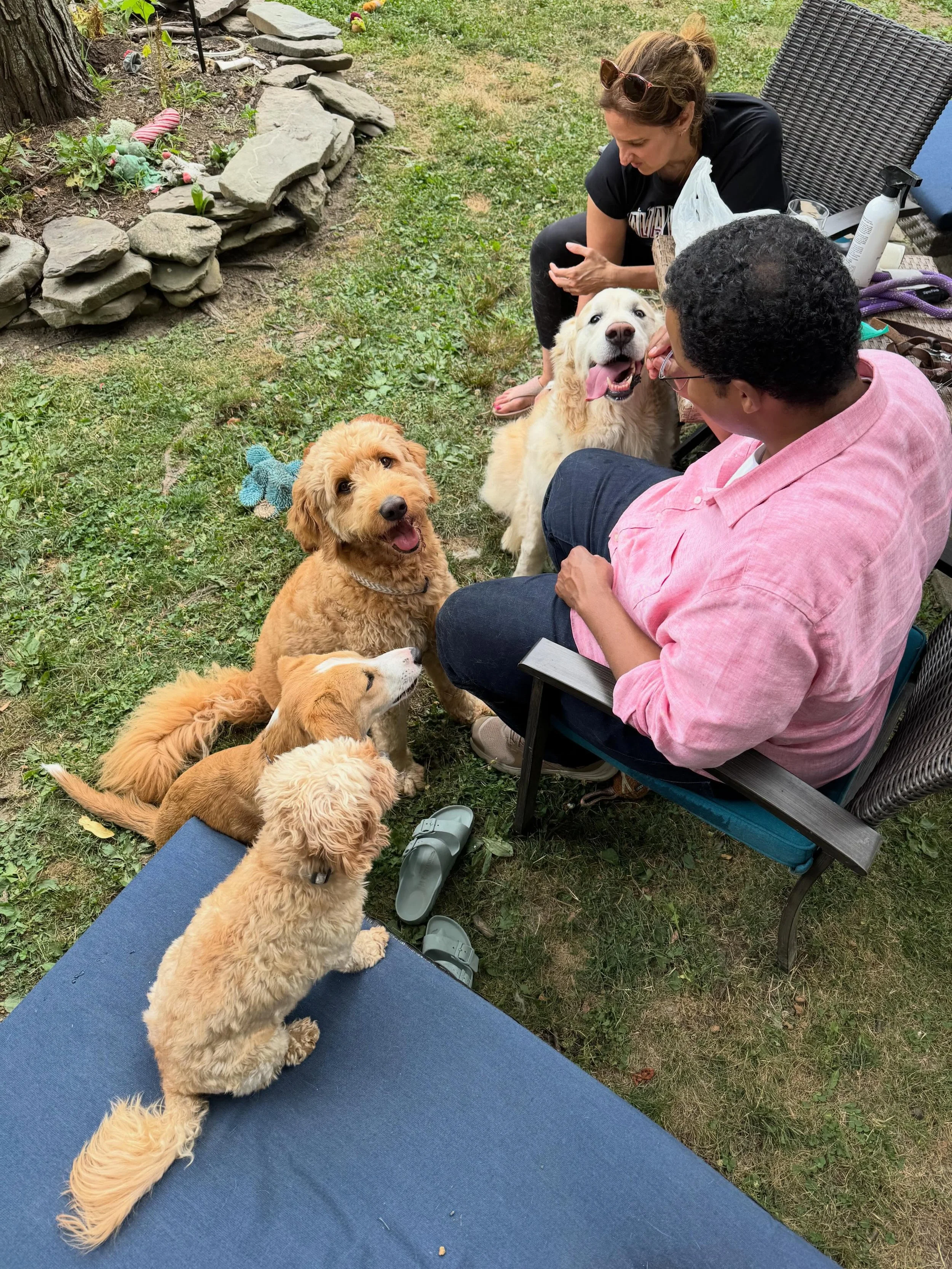 Clarinet extraordinaire Afendi Yusuf is officially a dog whisperer! 🐾 TCO musicians love to connect offstage, especially on a beautiful day like today. Pictured here are Afendi and Amy Zoloto hanging out with adorable TCO pups: Winston, Sophie, Fion