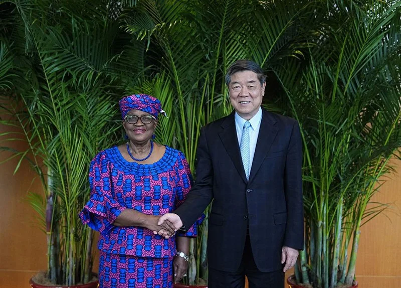 Chinese Vice-Premier Meets with WTO Officials in Nanjing 