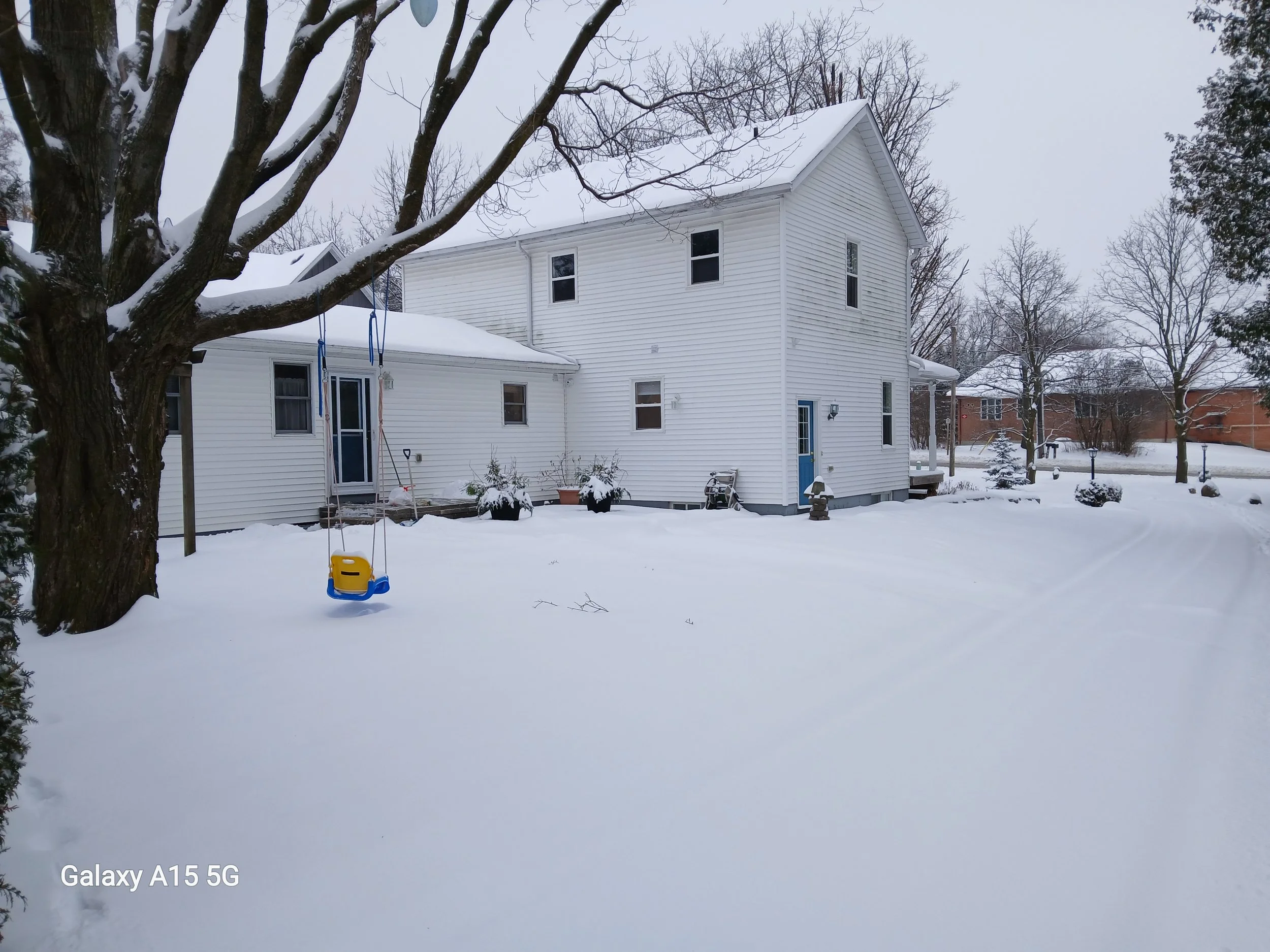 A snowy backyard scene with a white house and snow-covered trees. There is a children's swingset hanging from a tree branch and a yellow and blue plastic swing on the snow. The sky is overcast.
