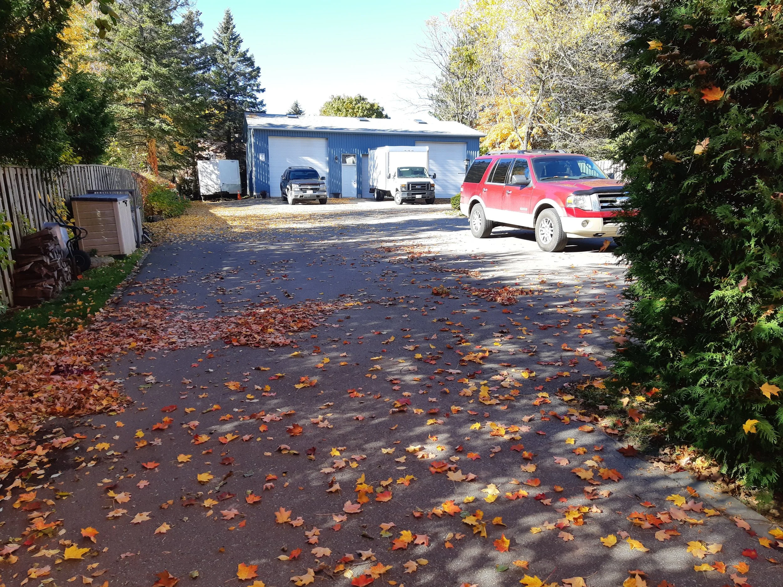 A driveway with fallen autumn leaves in front of a blue metal building with two white garage doors, surrounded by trees with autumn foliage.