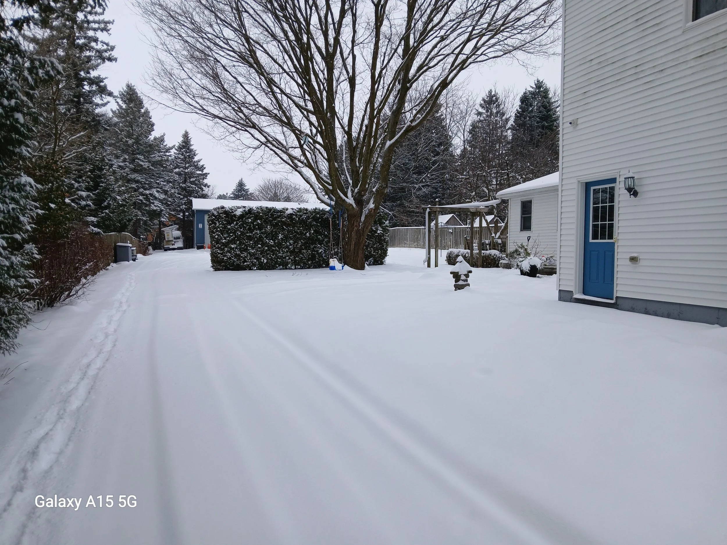 Snow-covered backyard with a large tree, white house with blue door, swing set, and snow-covered fence, under an overcast sky.