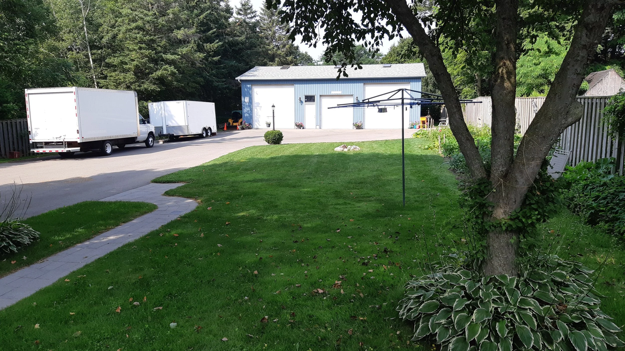 A backyard with green grass, a tree, a paved walkway, and a large blue shed with white doors. There are two white trucks with trailers parked near the shed. A clothesline with a rotary line is in the yard. There are decorative plants, flowers, and a small bush near the shed, and trees and a wooden fence in the background.