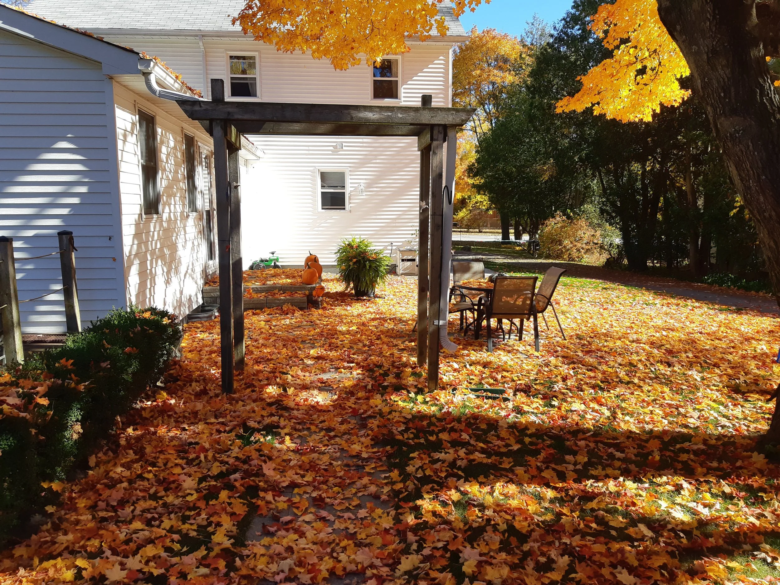Backyard patio covered with orange and red fallen autumn leaves, with some chairs, pumpkins, and potted plants, surrounded by trees with colorful fall foliage, and a two-story white house in the background.