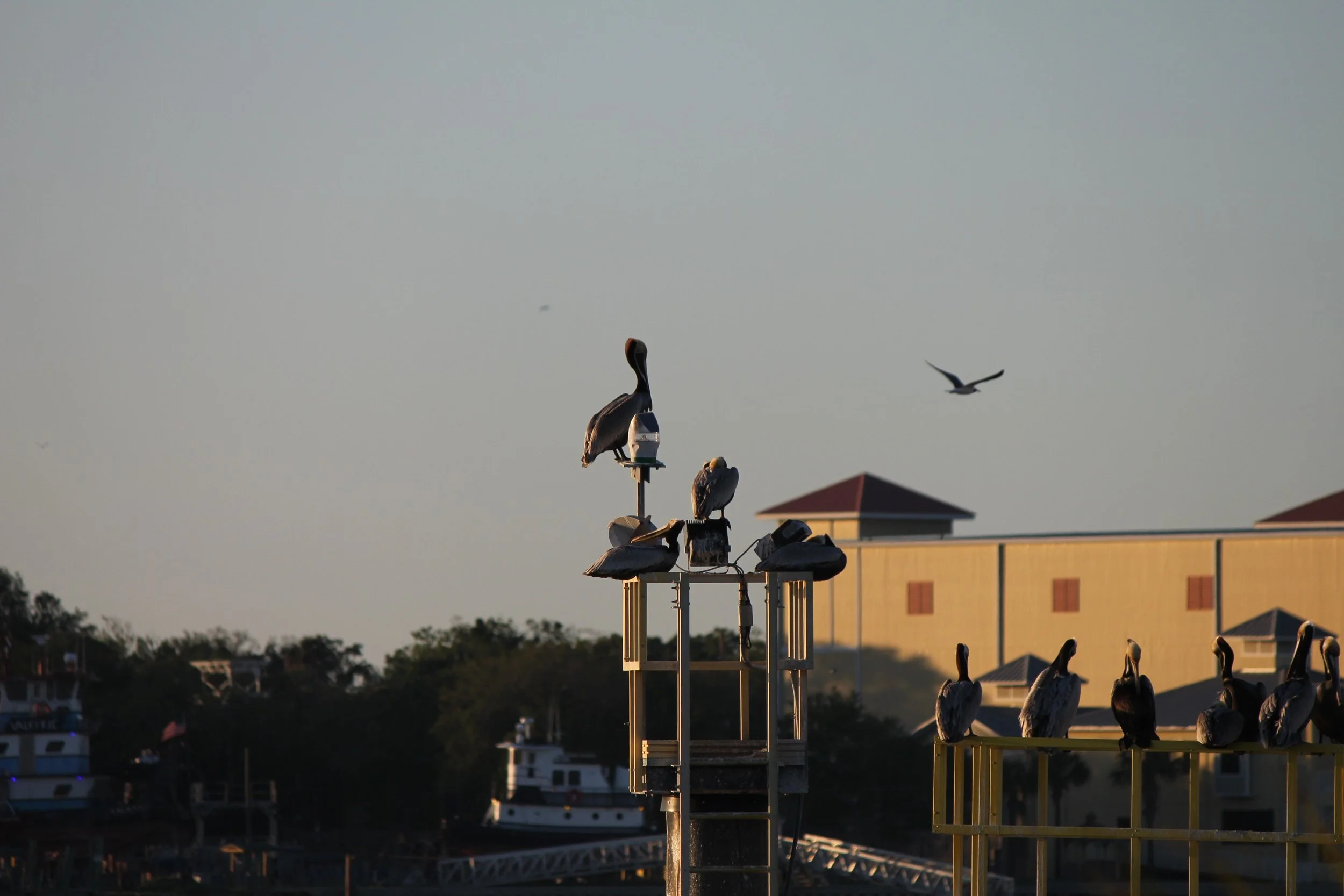 IMG_3656.JPG