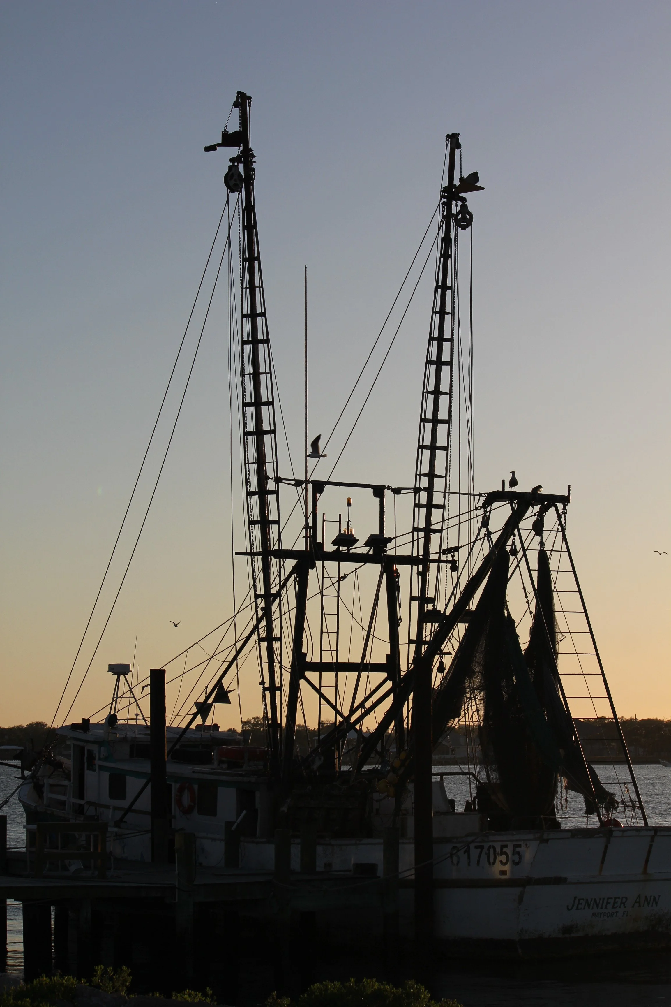 IMG_3662.JPG
