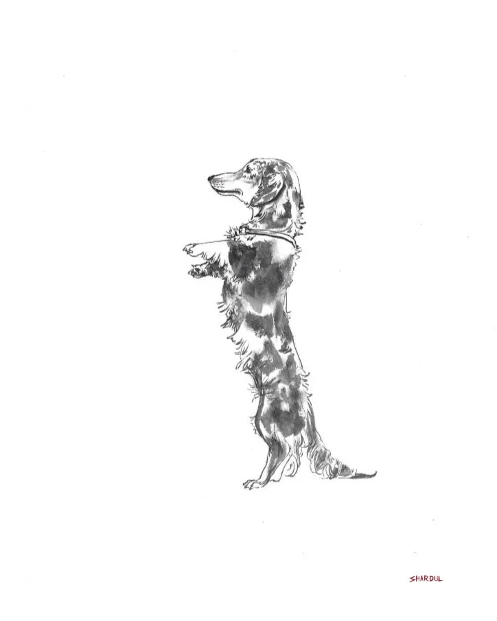 A black and white sketch of a dog standing on its hind legs, facing left, with its front paws raised. The drawing is minimalist with the dog's details focused on the fur and facial features.