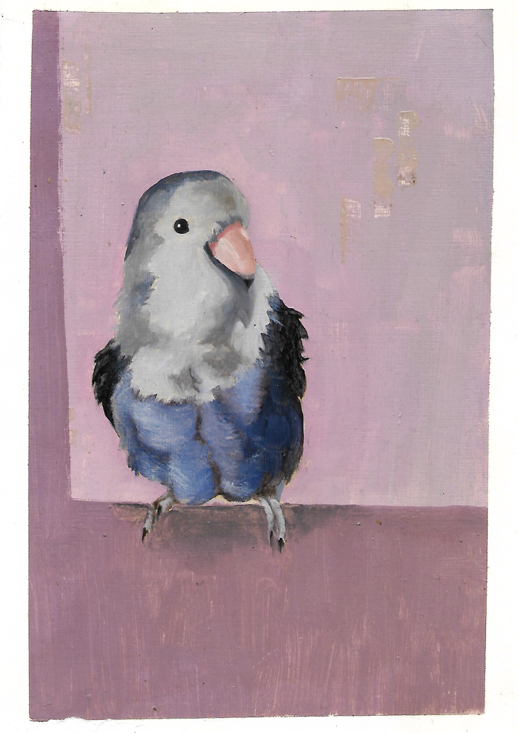 A painting of a small bird with a pink beak, gray head, and blue and black body standing on a surface against a pink background.