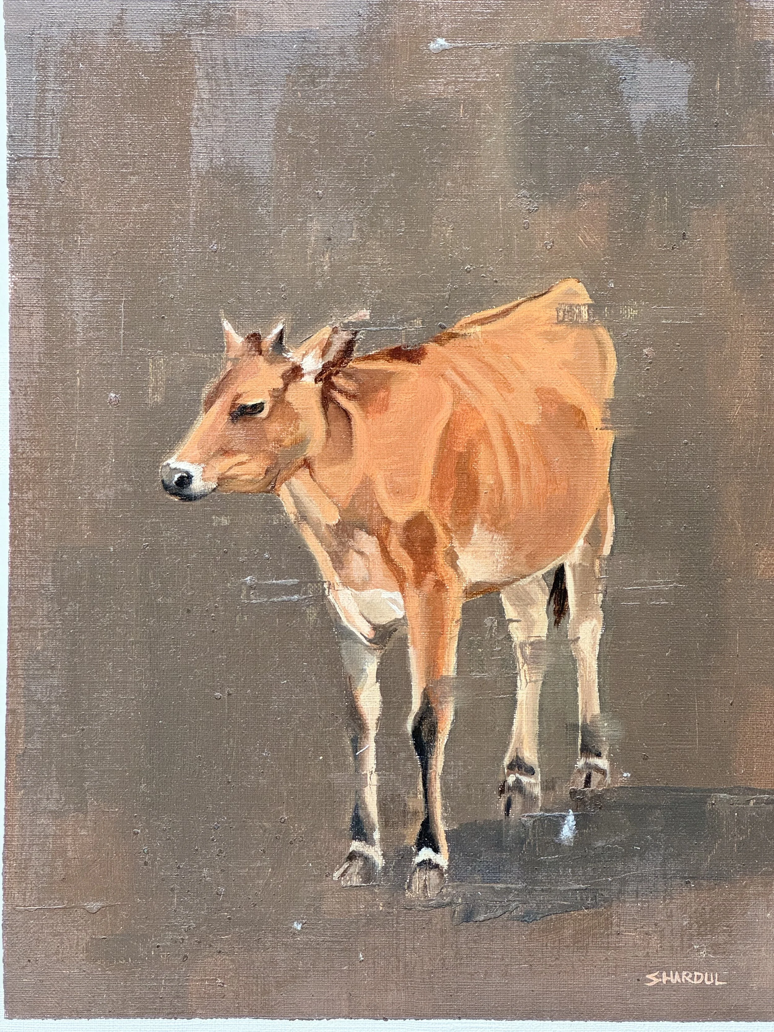 A painting of a brown cow standing on a plain background, signed by Shardul in the bottom right corner.