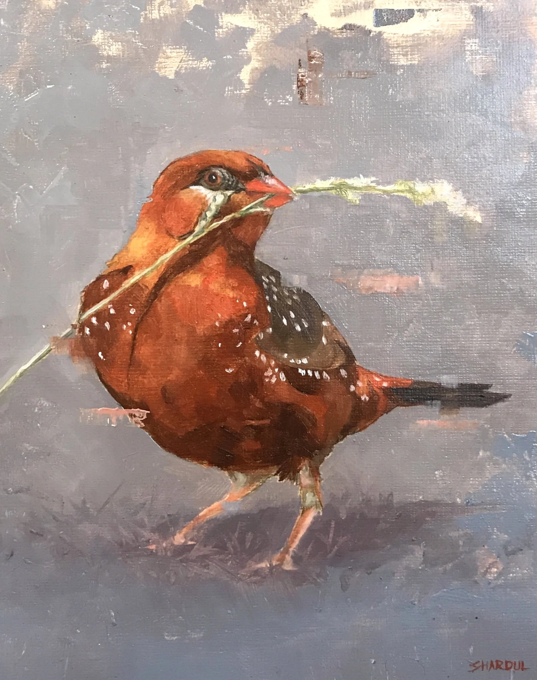 A painting of a Red Munia bird, A Strawberry Finch, holding a stick in its beak against a cloudy sky background.