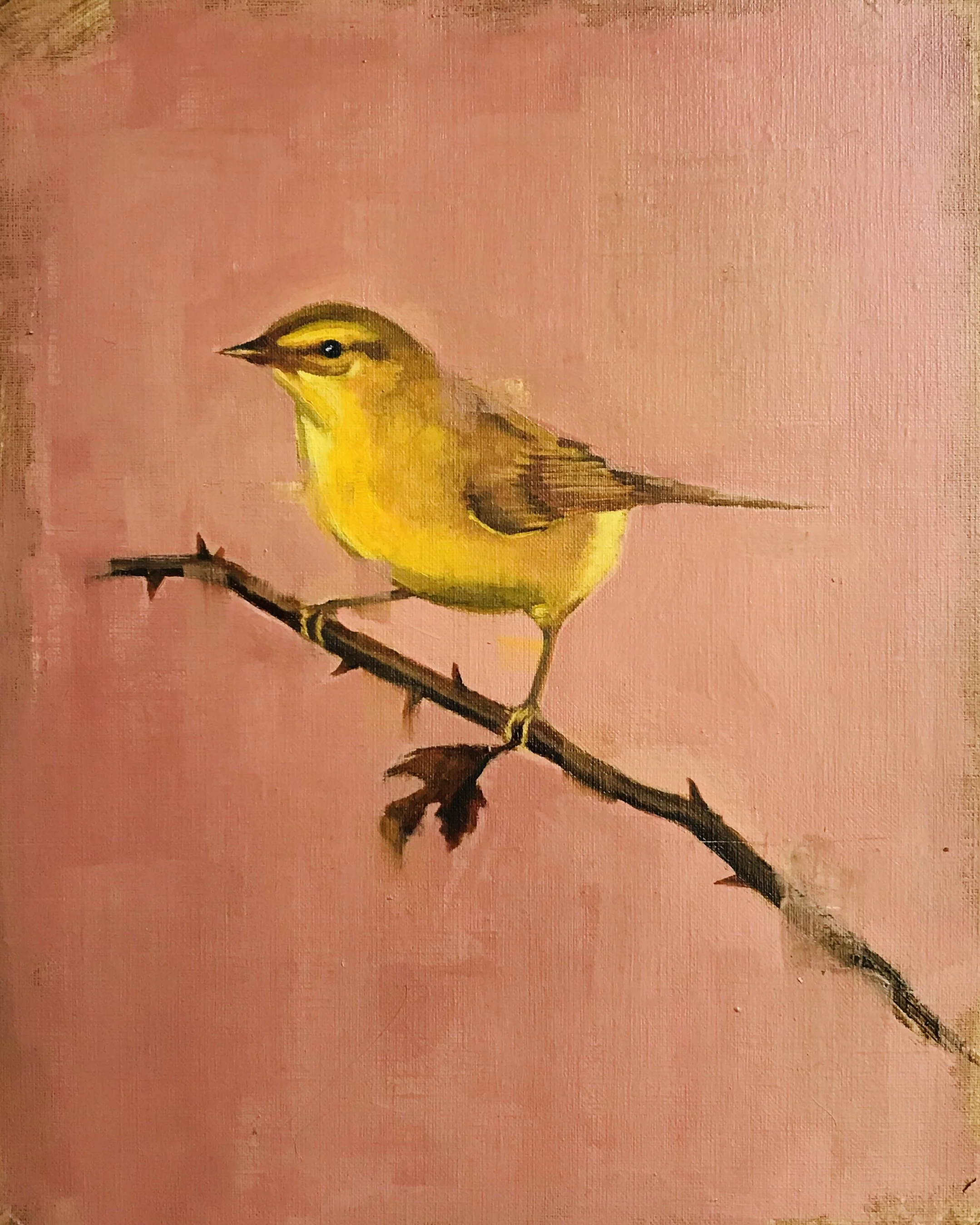 A painting of a yellow and brown bird sitting on a thin, dark branch against a pinkish background.