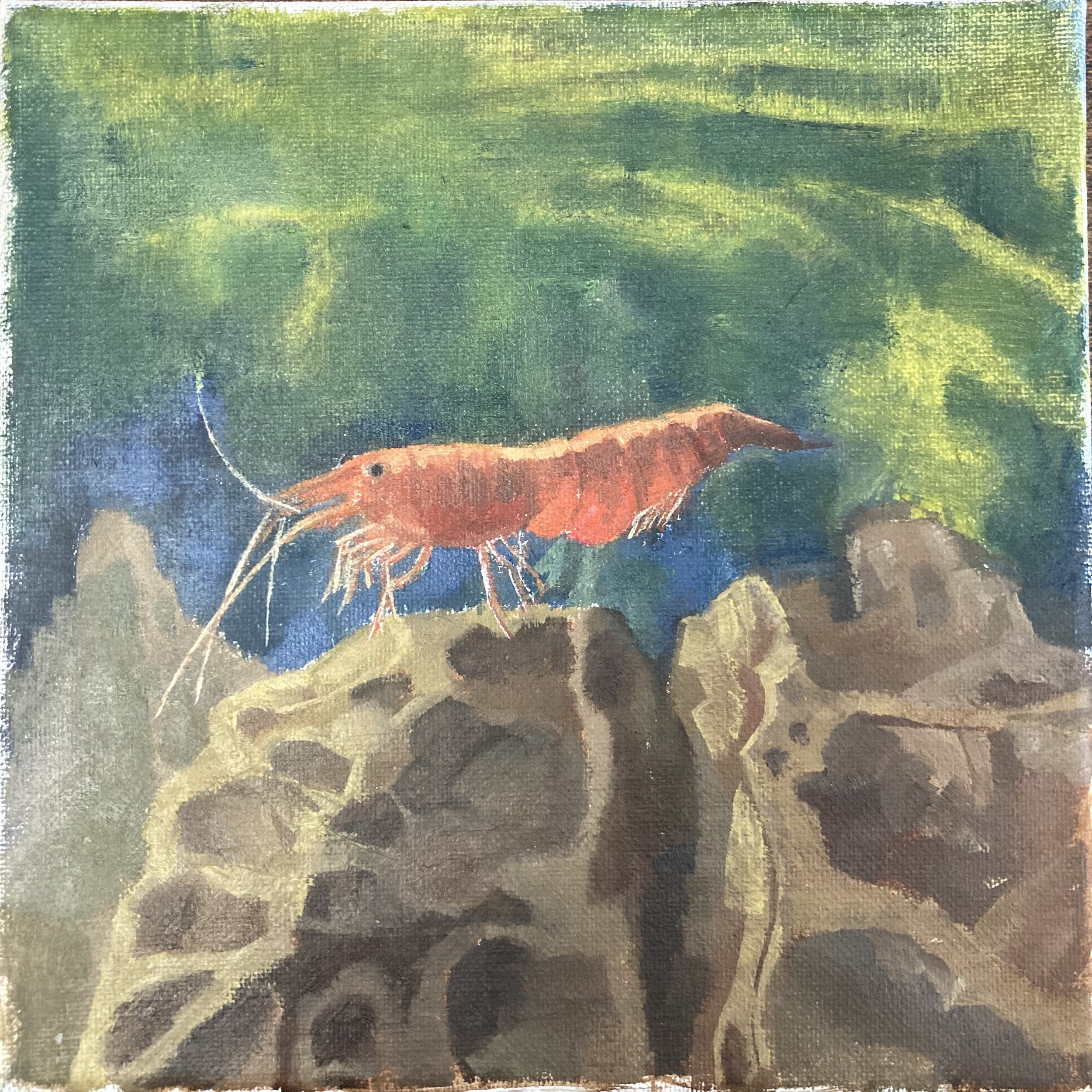 A painting of underwater scene with a red shrimp and a white shrimp against a deep green background.
