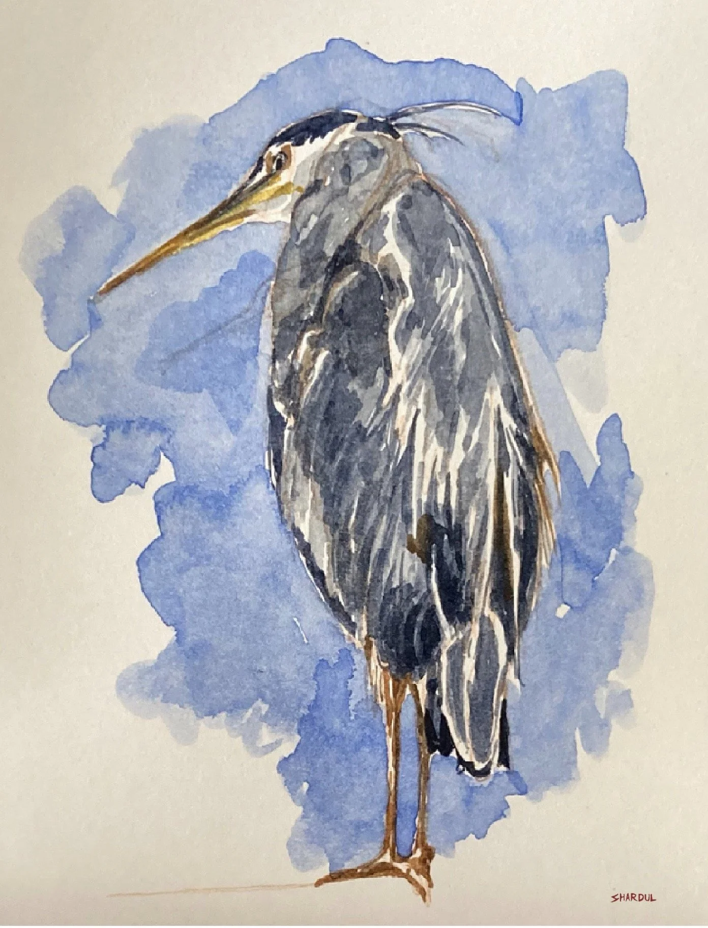 A watercolor painting of a heron with a blue background, signature 'SHARDUL' at the bottom right.