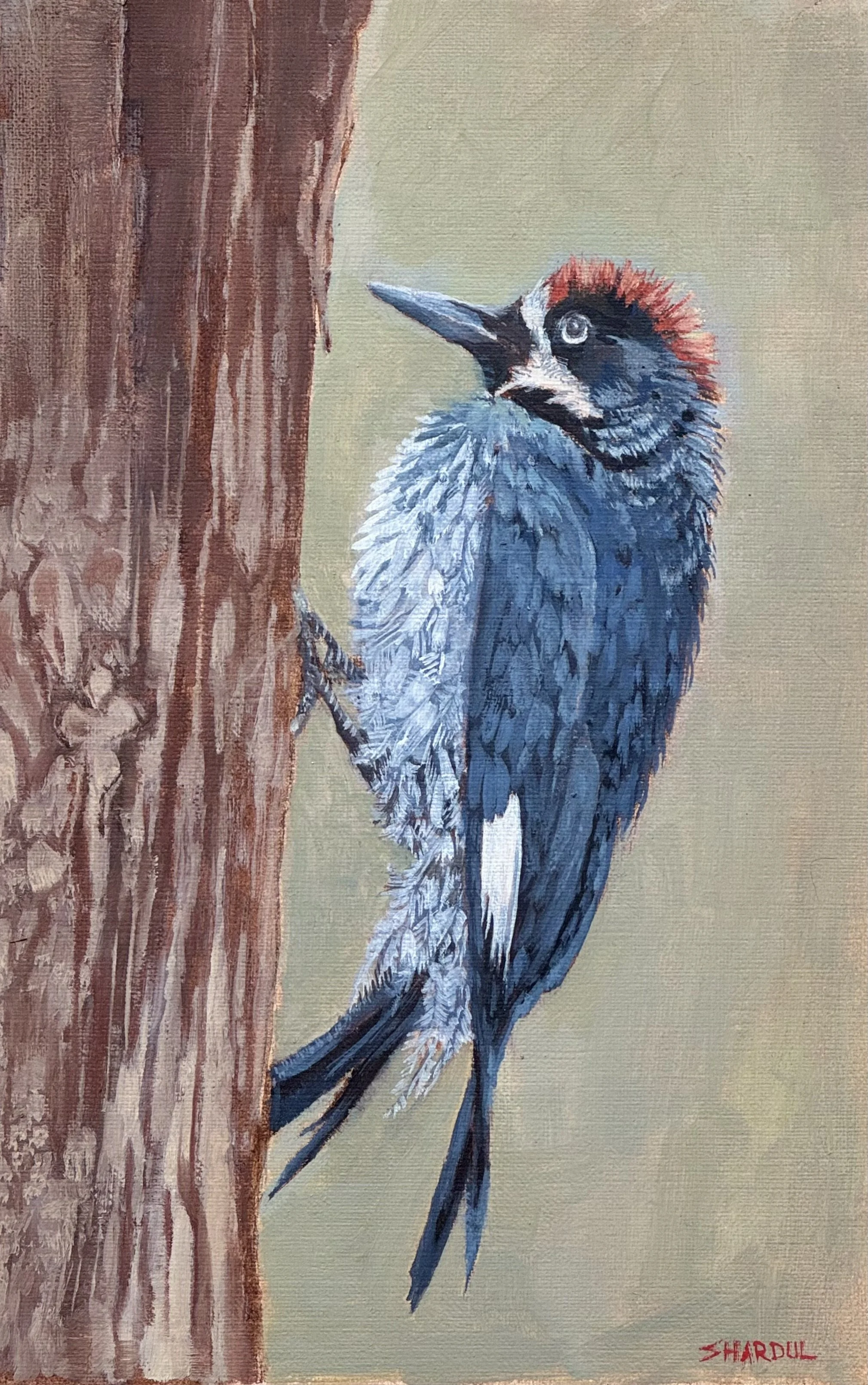 A painting of a woodpecker with blue and black feathers and a red crown, clinging to a tree trunk.