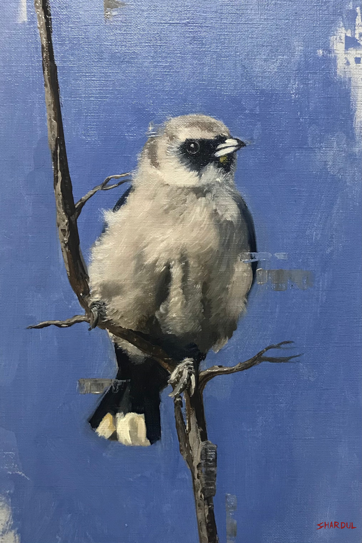 Painting of a bird perched on a brown branch against a blue background.