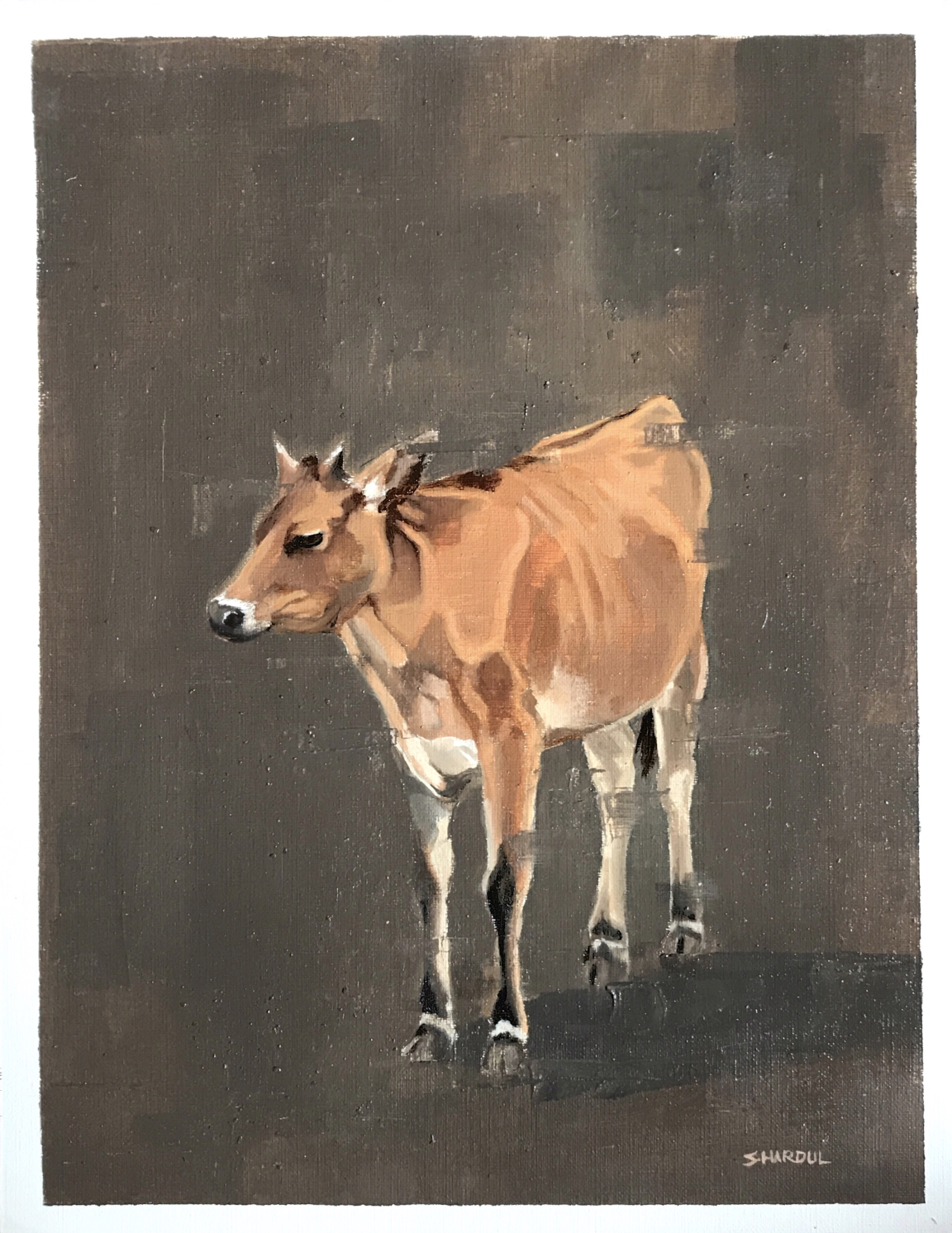 Painting of a brown and white cow standing on a dark background.