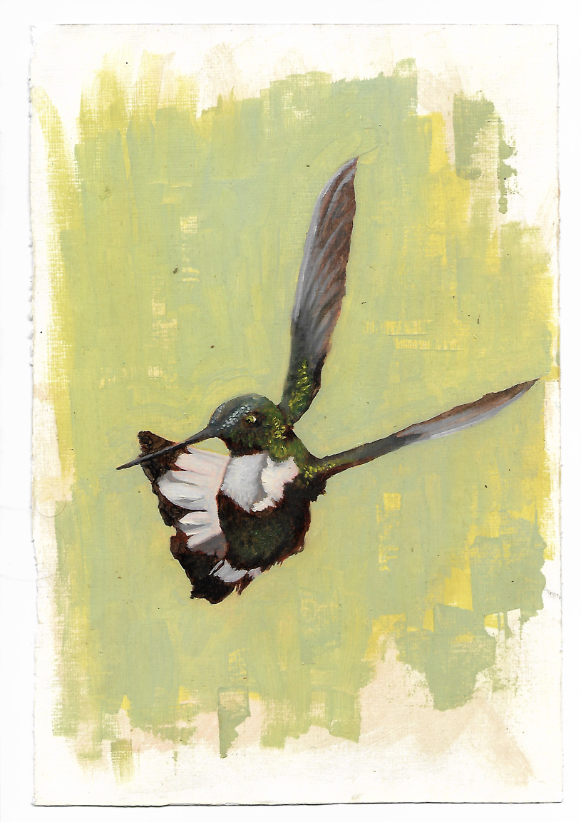 A painting of a hummingbird in flight with green, black, white, and brown feathers against a yellow and green abstract background.