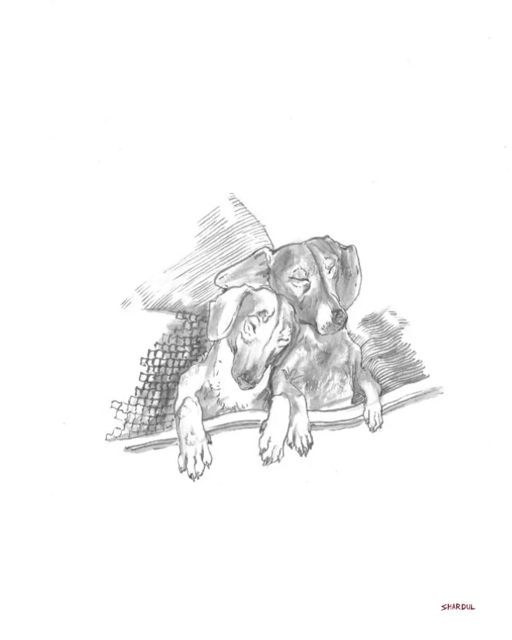 Sketch of two dogs resting their heads on a windowsill, looking down.
