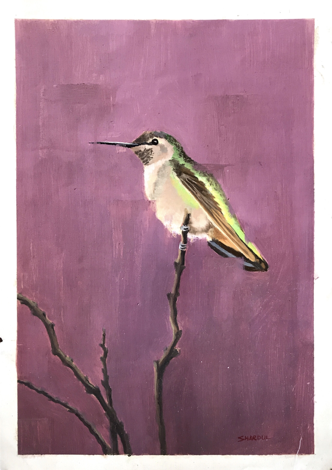 Painting of a hummingbird perched on a thin branch against a pink background.