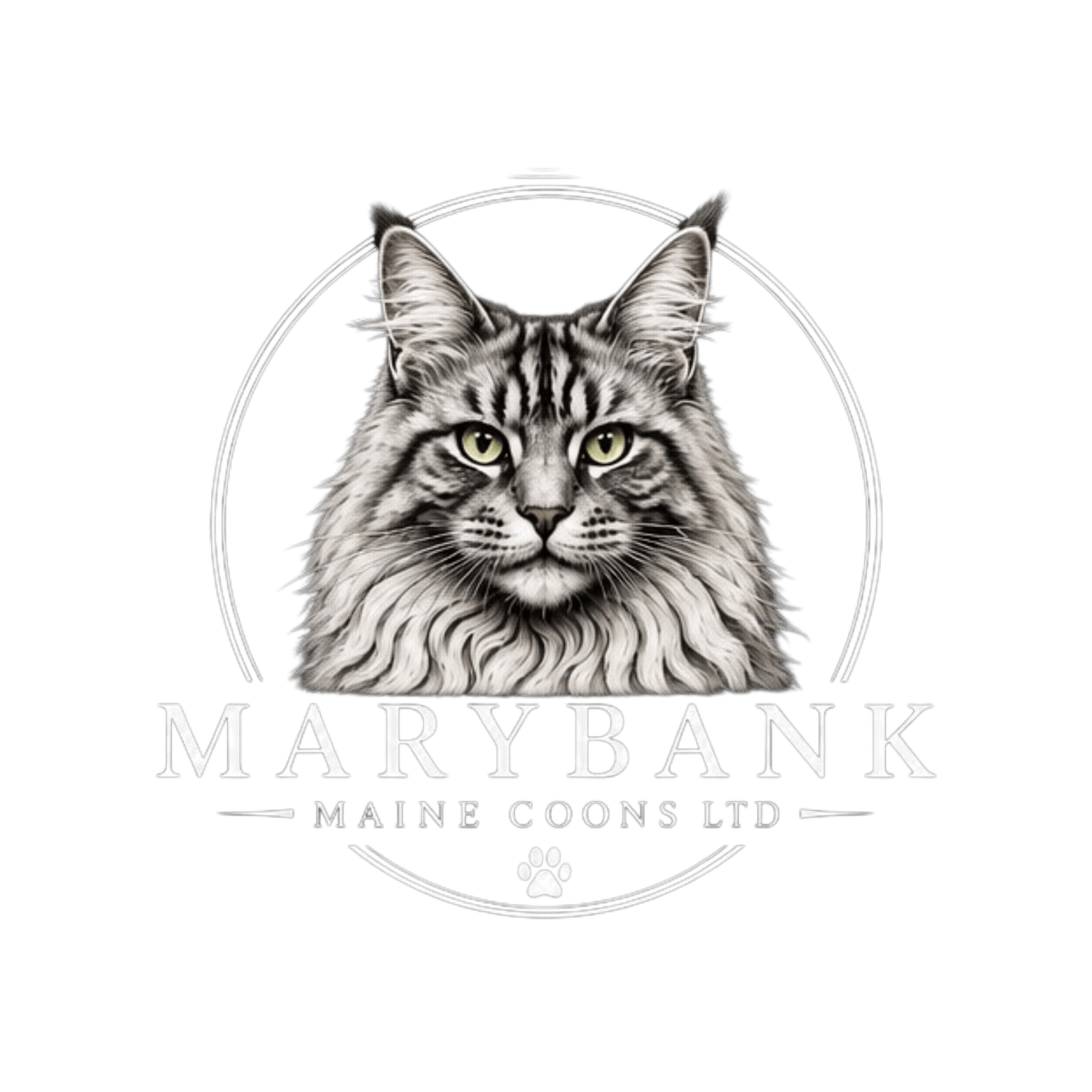 Marybank Maine Coons Limited