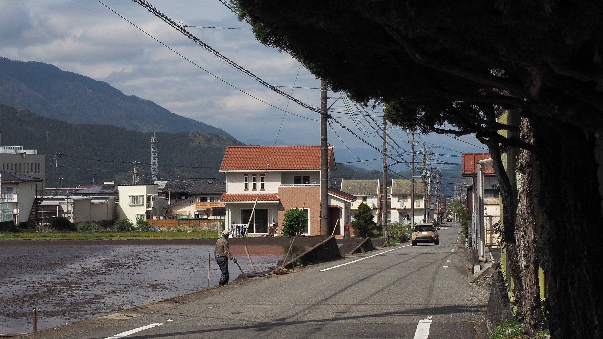 P1010277.jpg