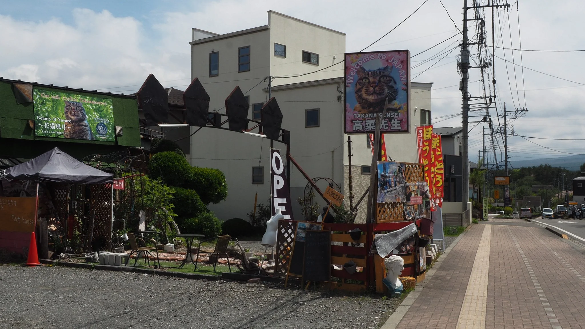 P1010240.jpg
