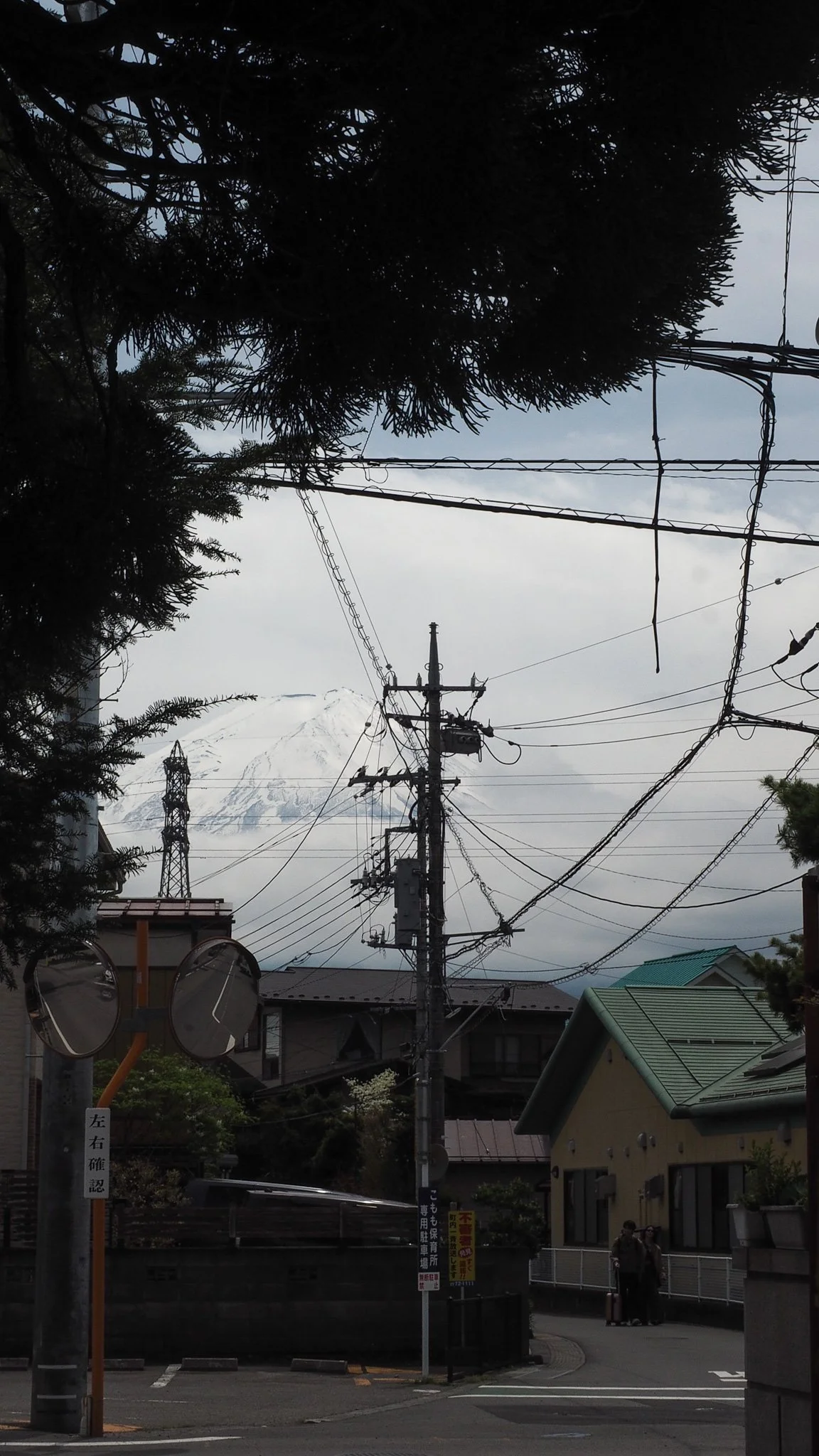 P1010219.jpg