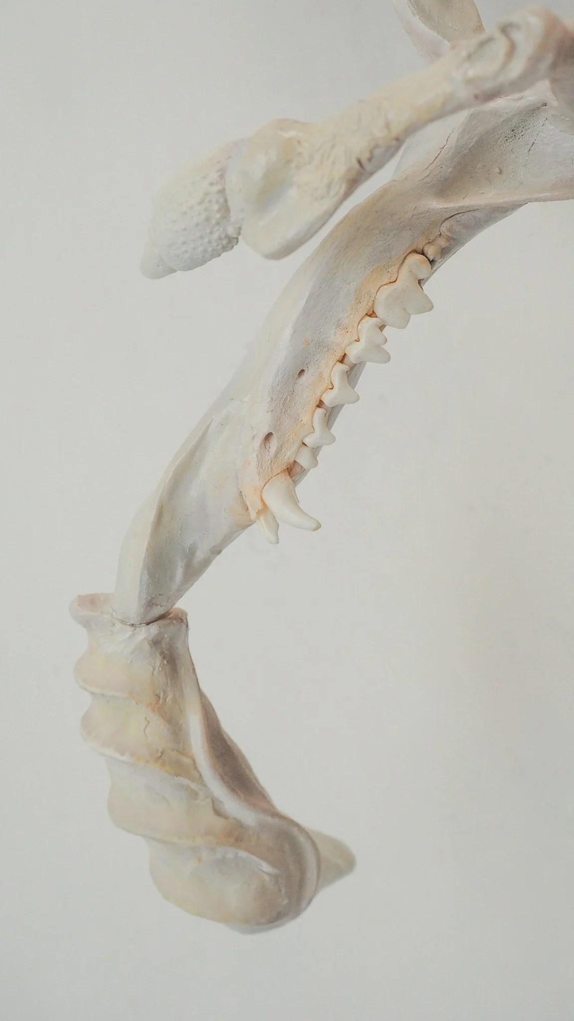 P1010669-2.jpg