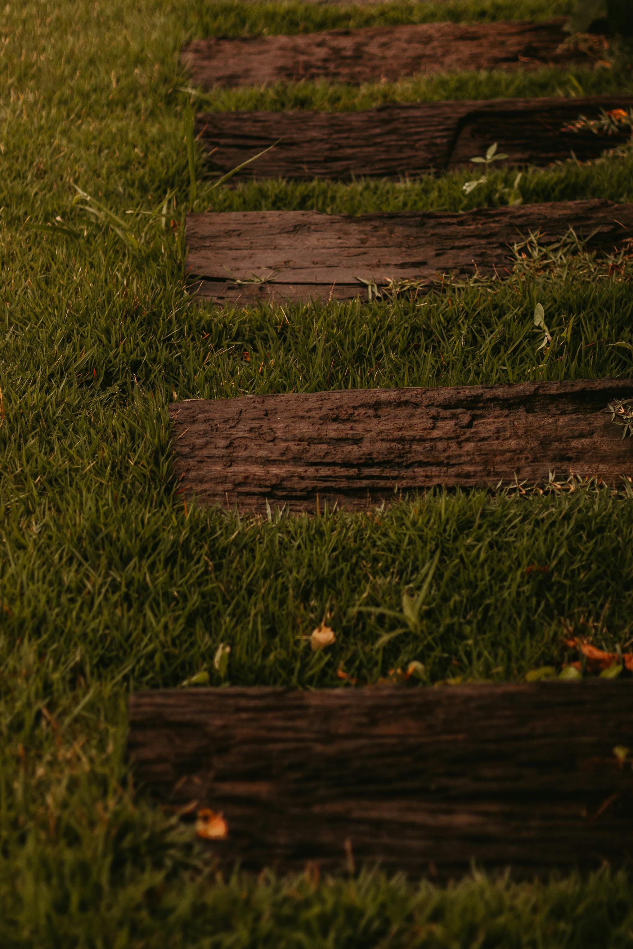 Close-up photo of wooden planks laid on green grass, with some fallen leaves scattered around.