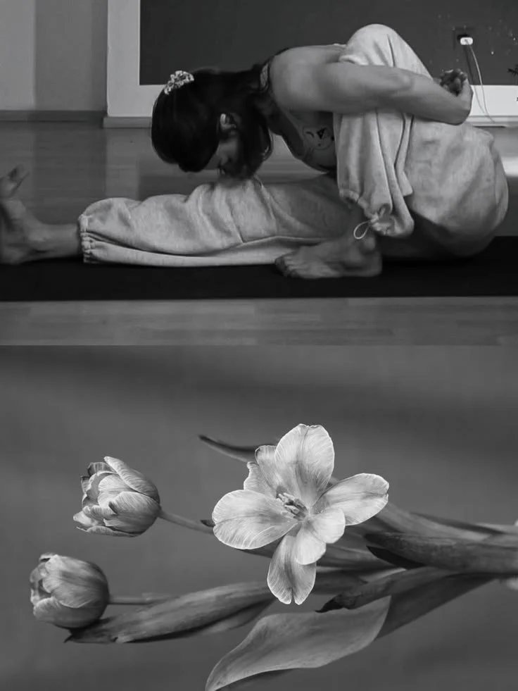 Studio Happenings: Returning to the Basics