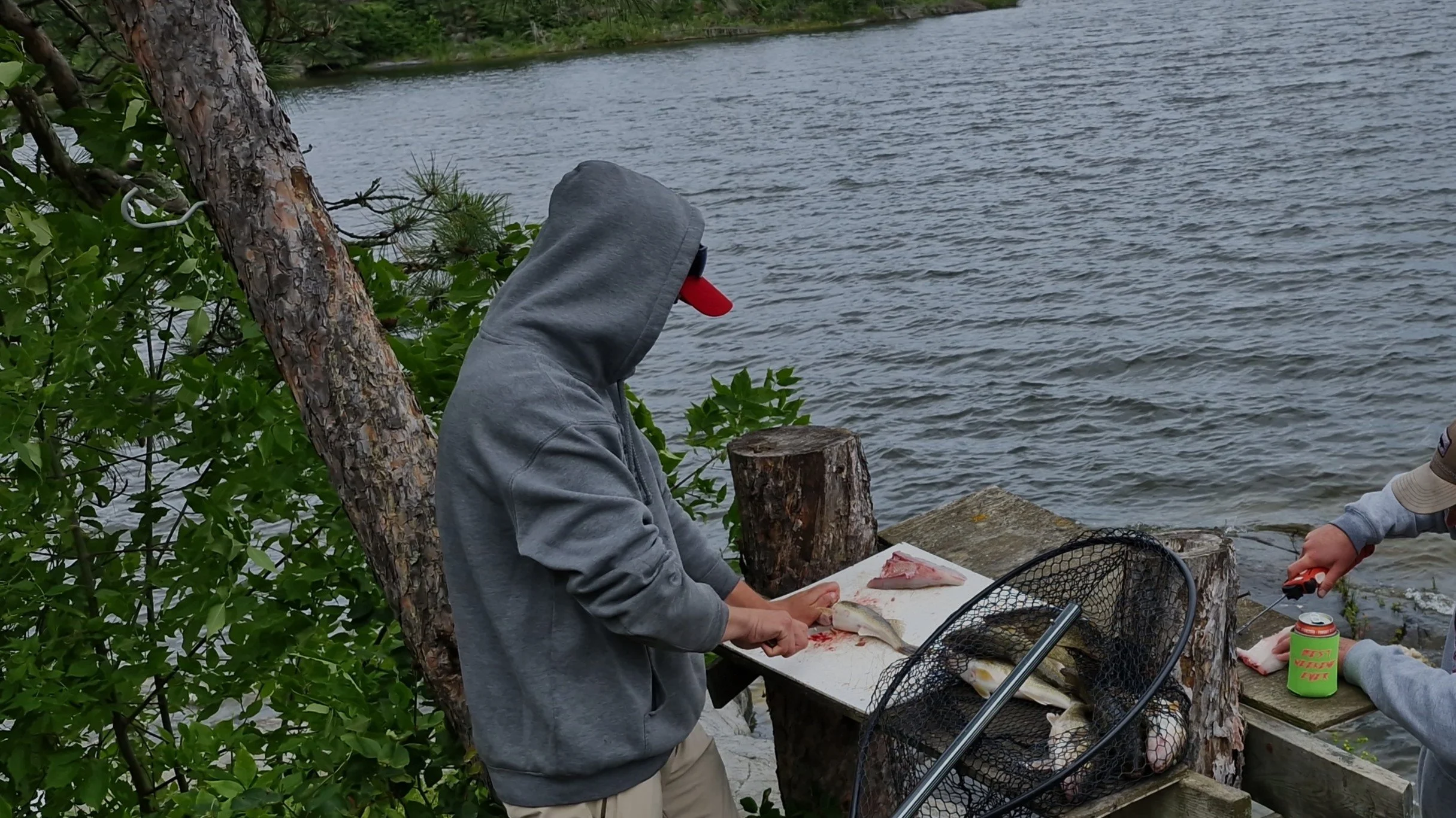 Person wearing a gray hoodie and a black hat, filleting fish at a lakeside, with trees and water in the background.